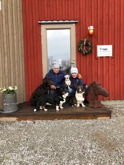 Flyingehus Gårdshotell