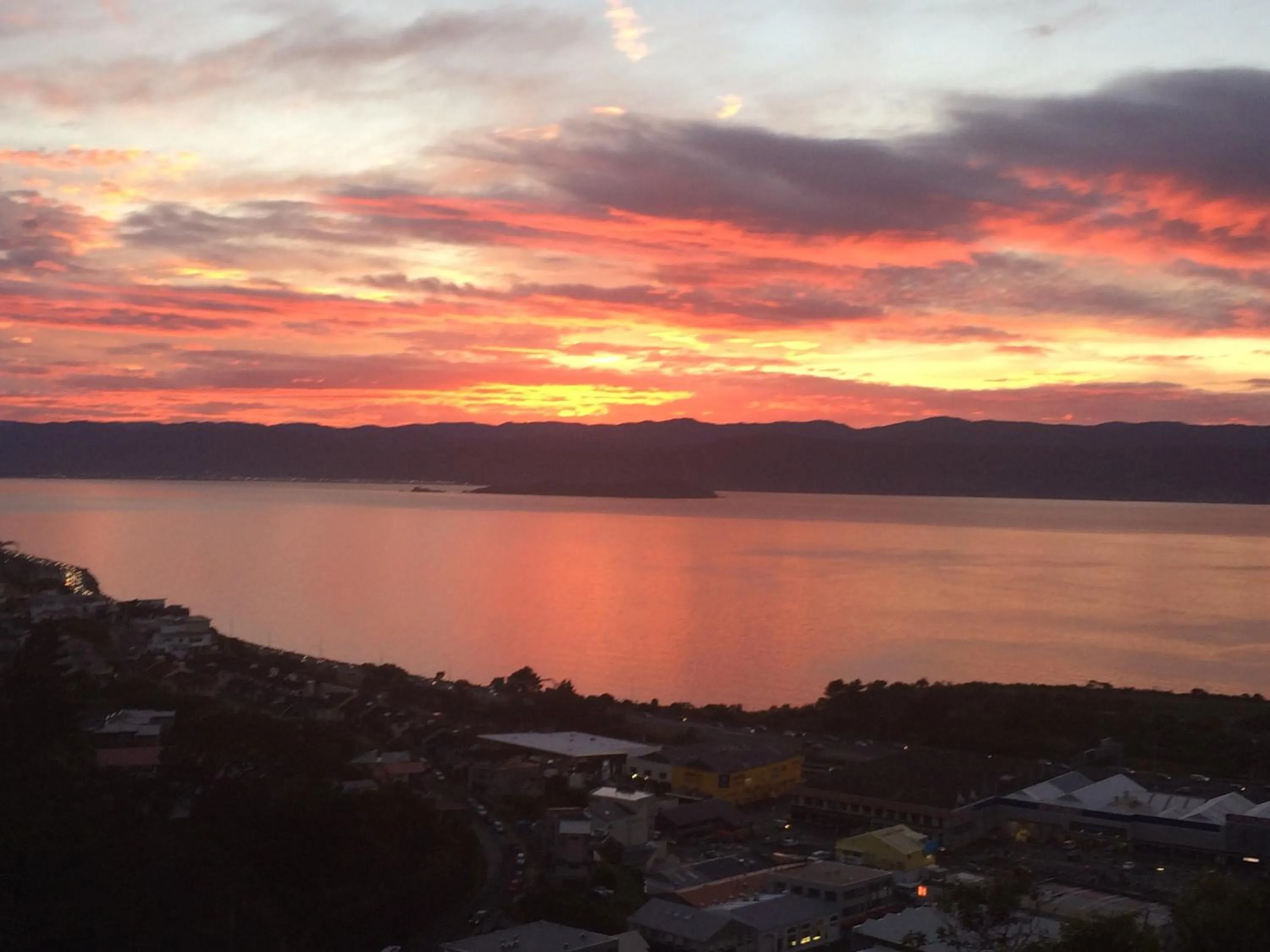 Sea view in Harbour Lodge Wellington