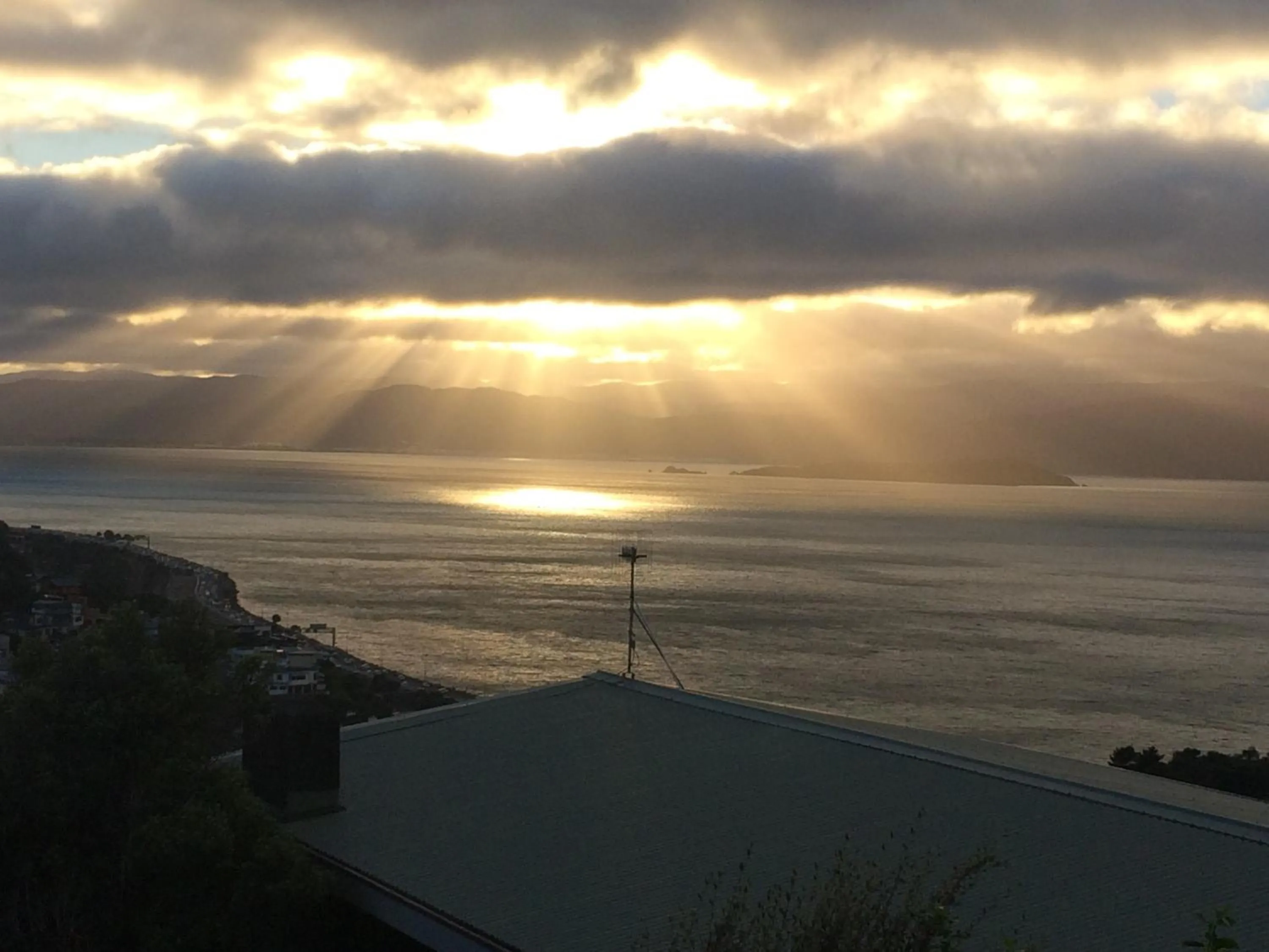 Sea view in Harbour Lodge Wellington