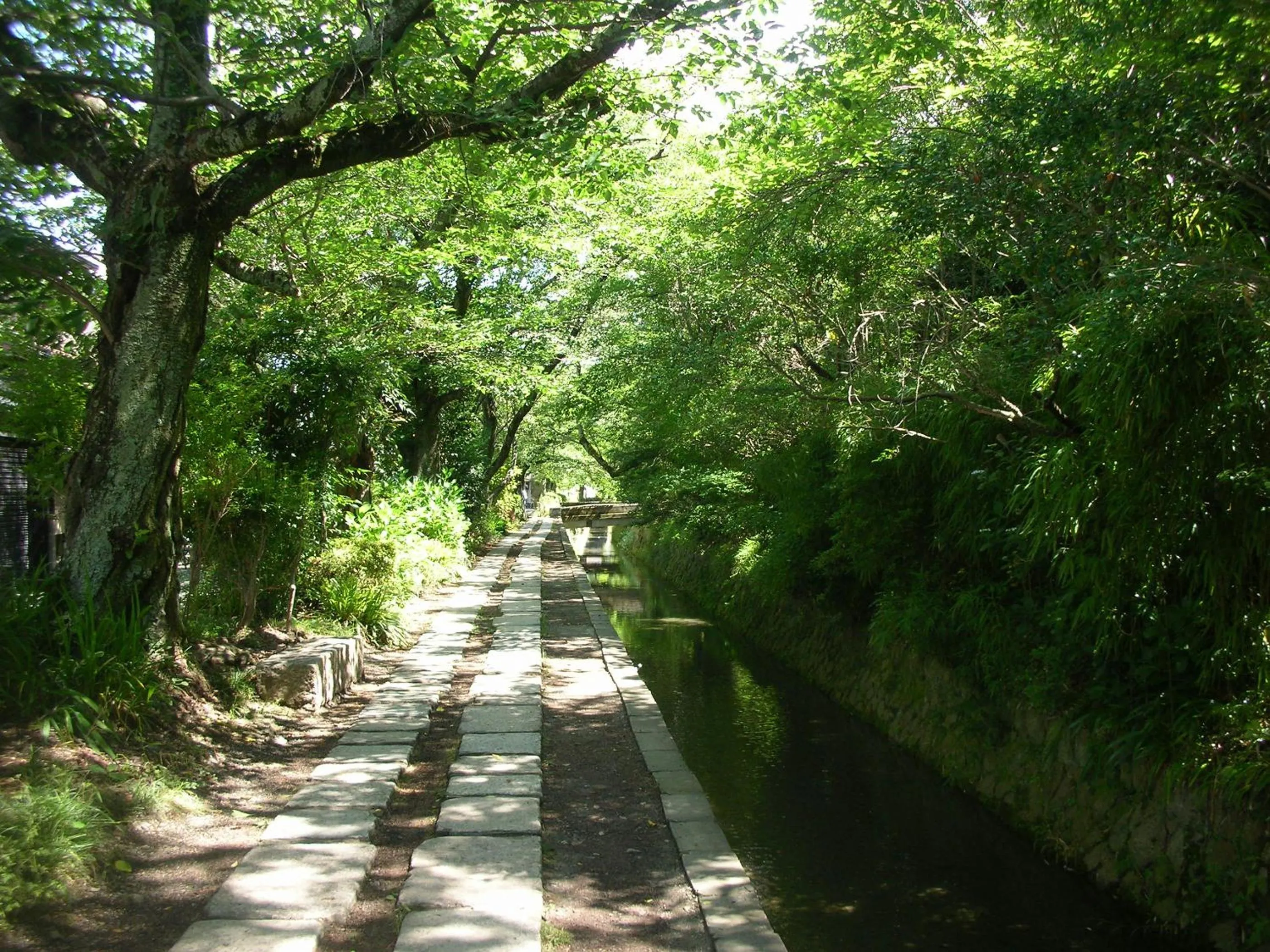 Spring in Heian No Mori Kyoto