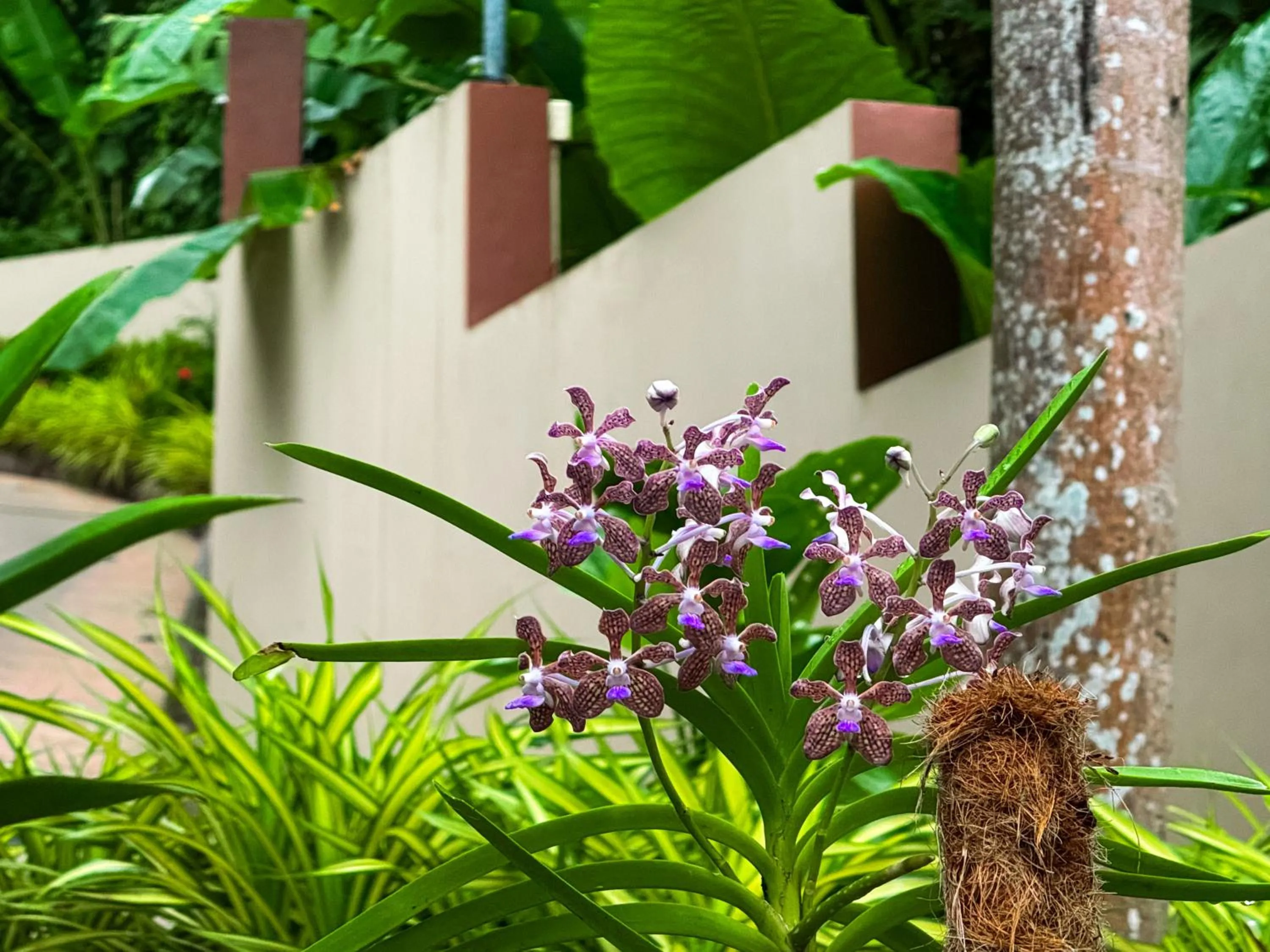 Garden in Villa Tantawan Resort - Private Pool Villas