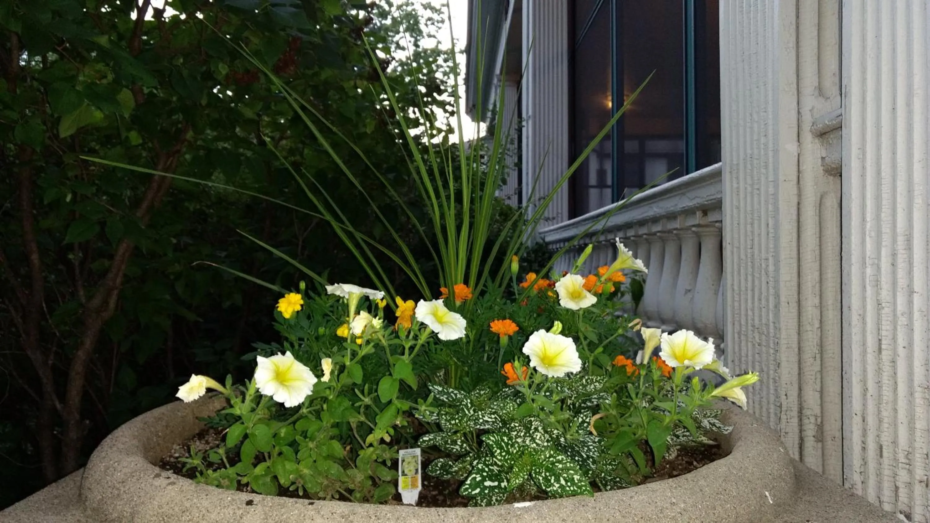 View (from property/room) in Alexander Mansion Bed & Breakfast