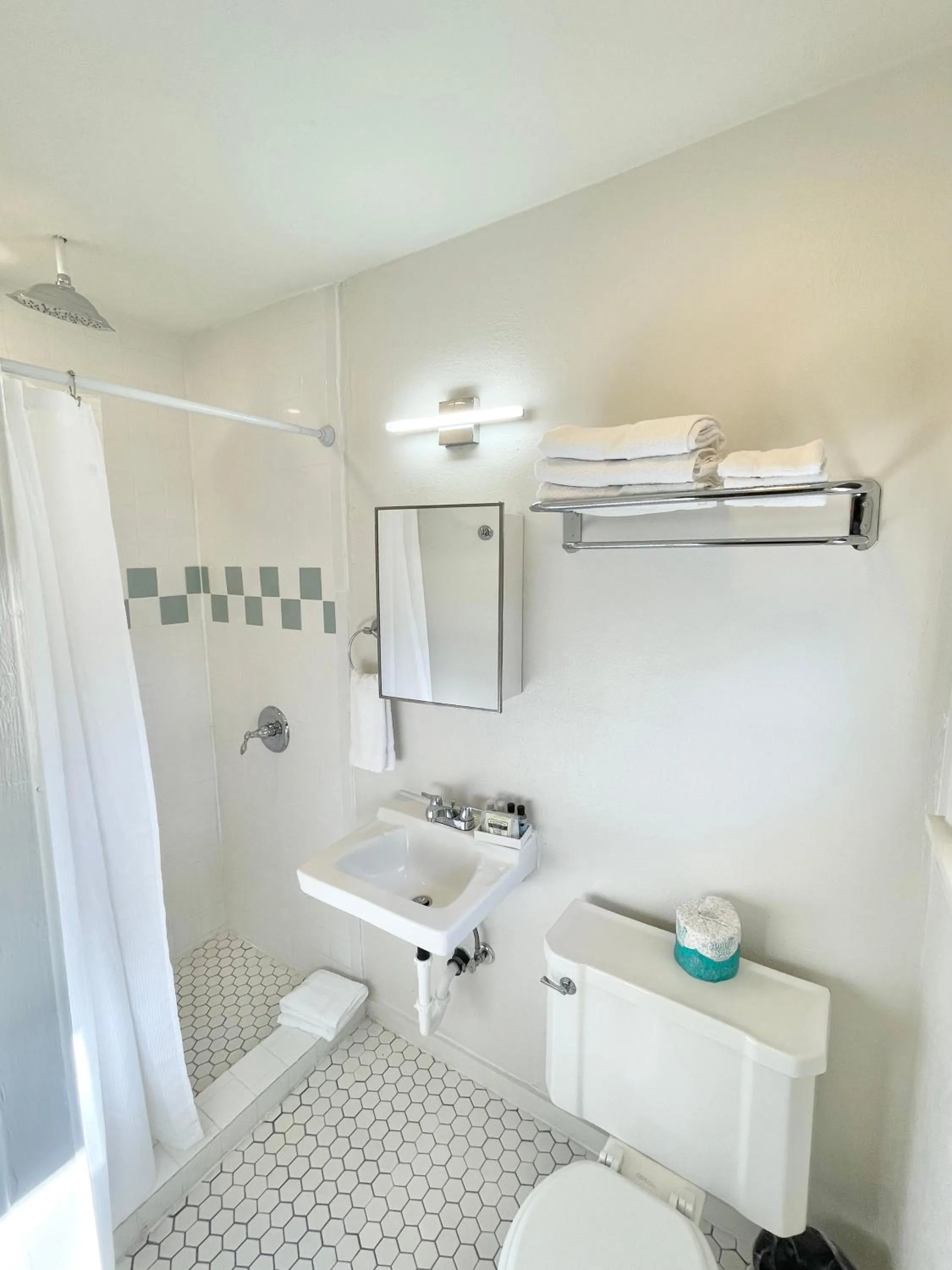 Bathroom in Frederick Motel