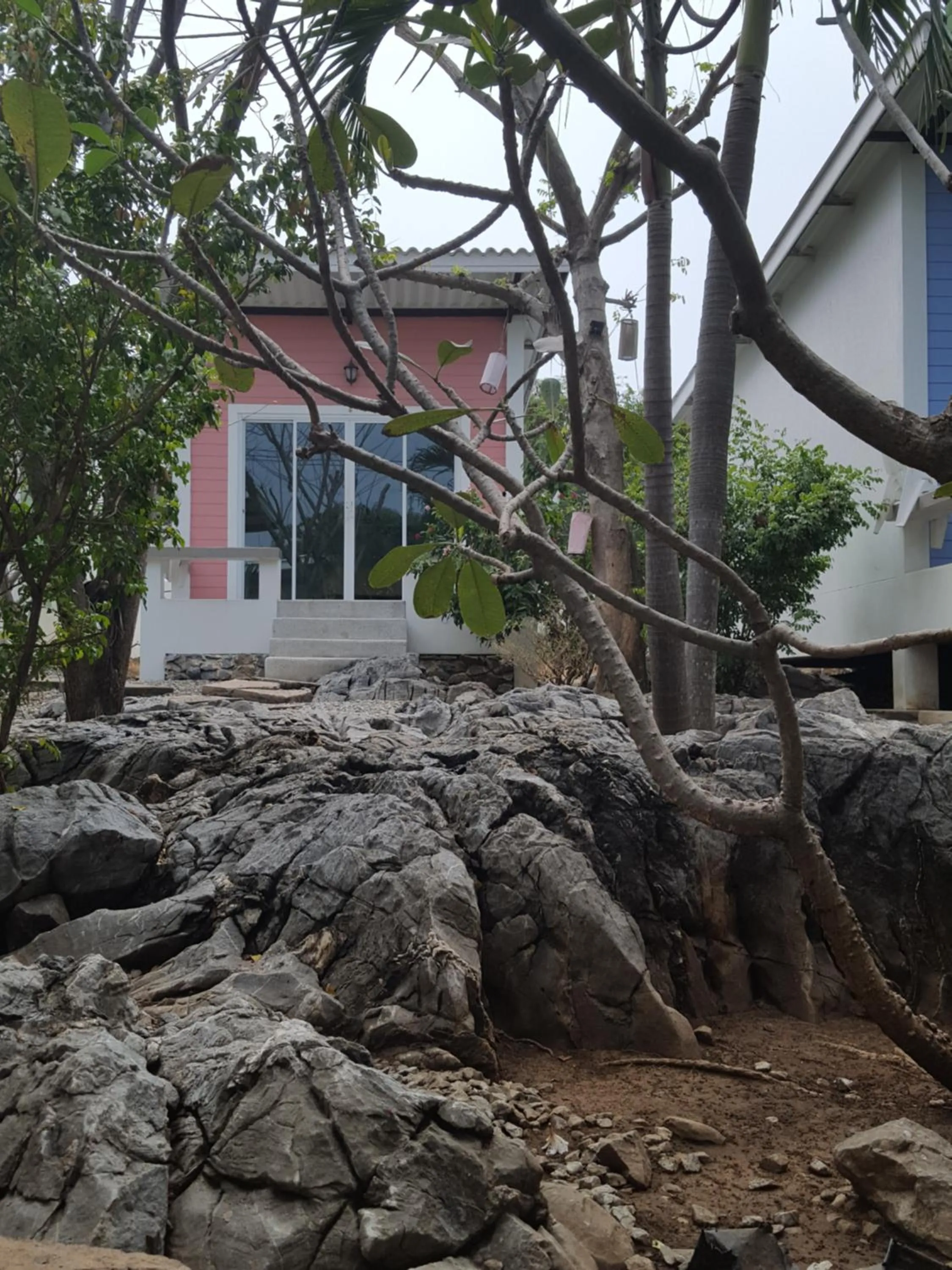 Day in Charlie's Bungalows