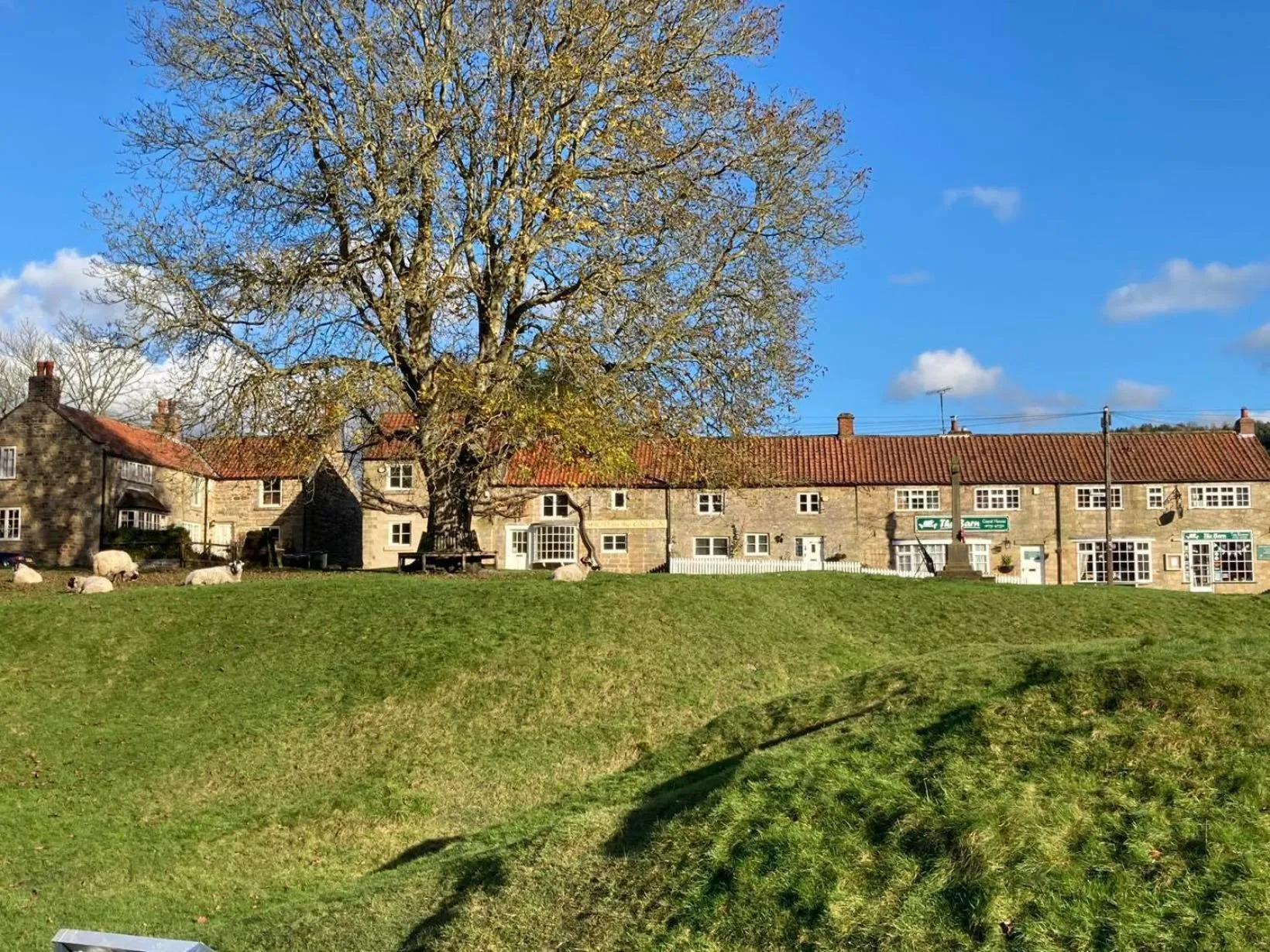 Garden in The Barn Guest House and Tearoom