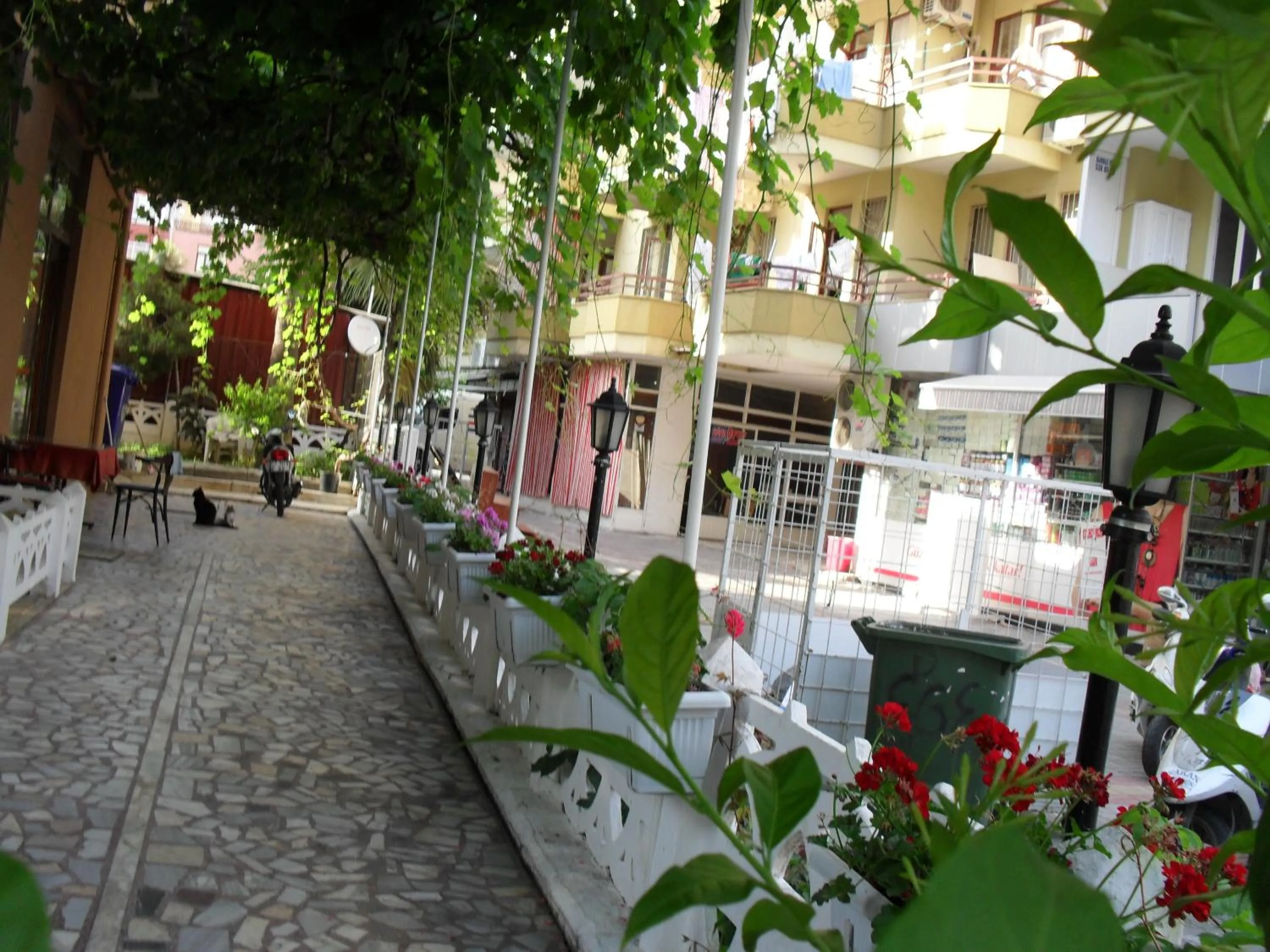 Day in Hotel Yildirimoglu