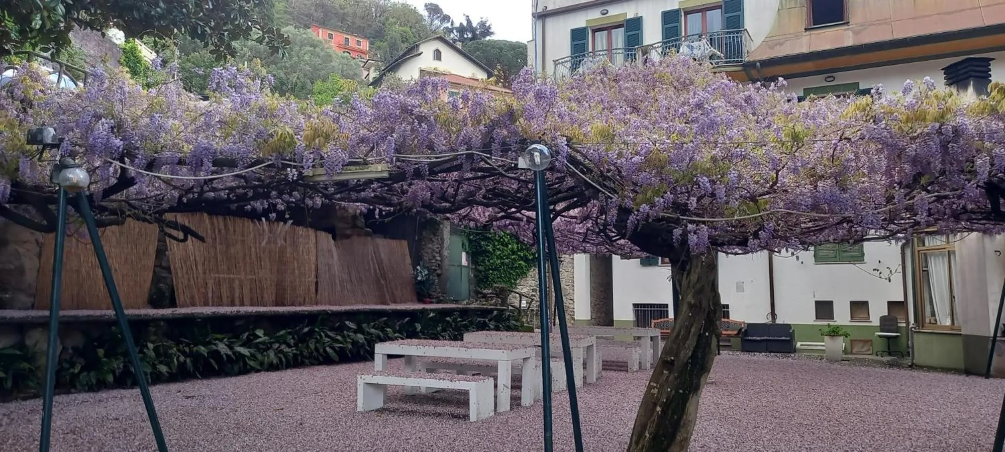 Garden in Hotel Residence Moneglia