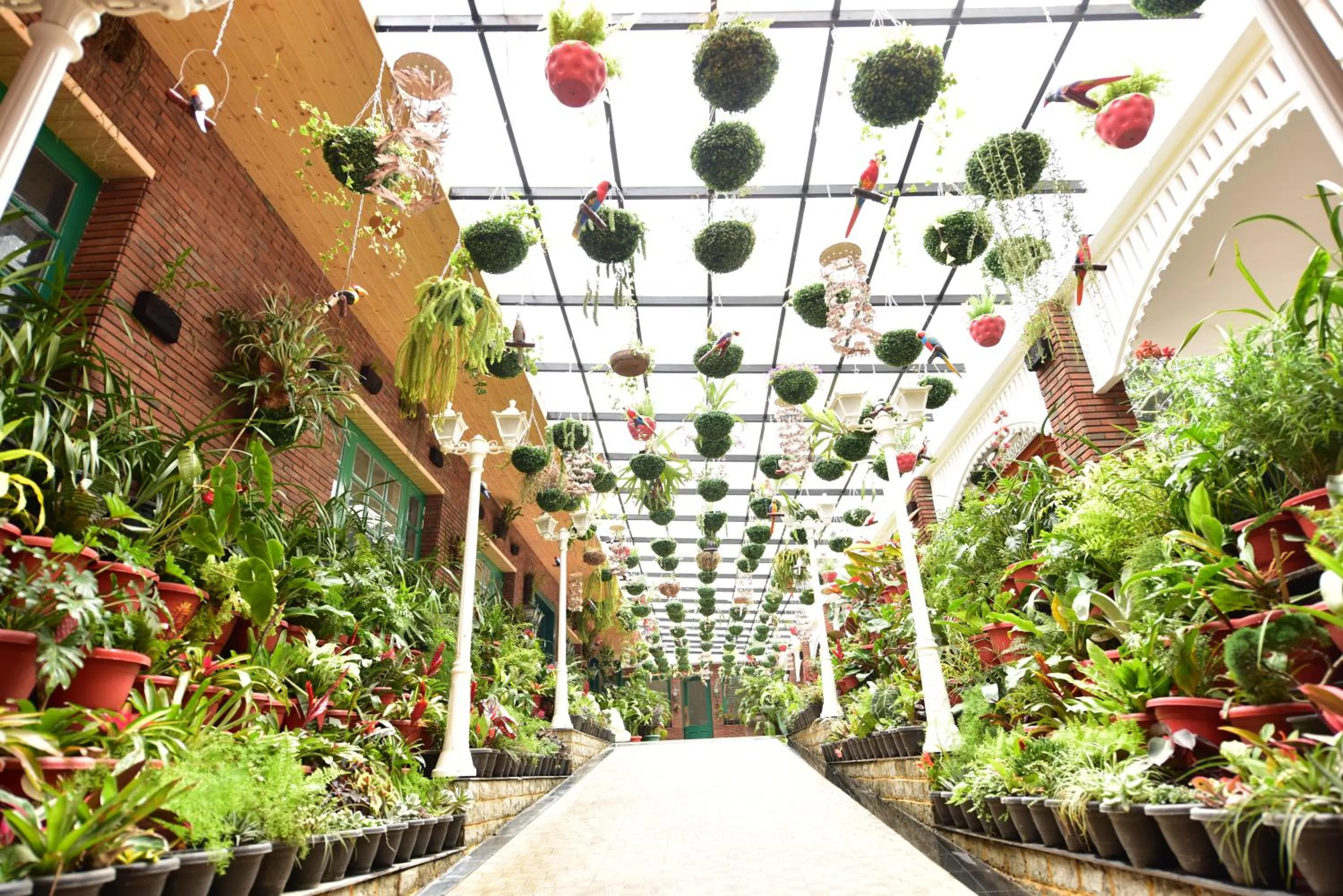 Garden in MAYFAIR Himalayan Spa Resort