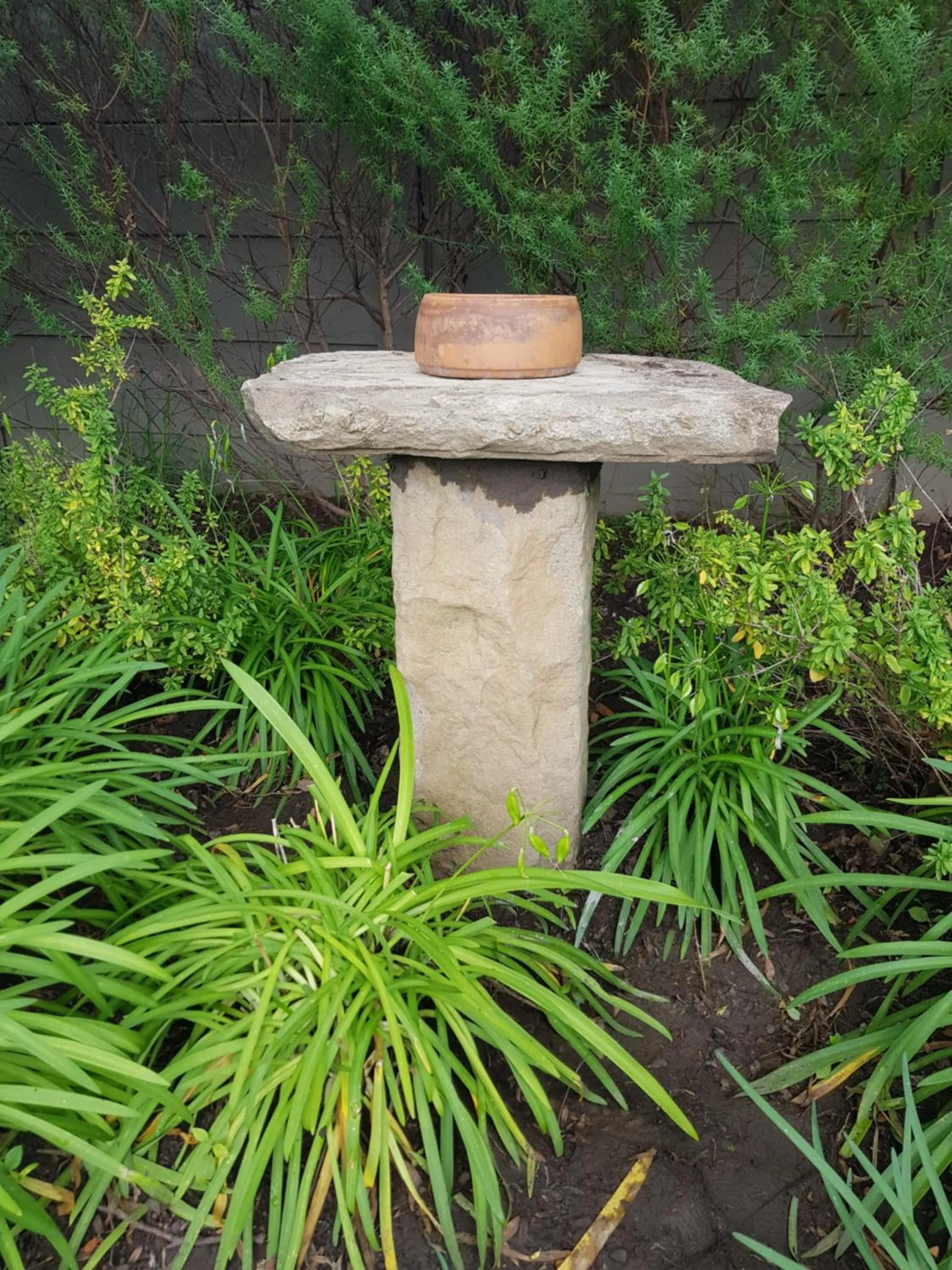 Garden in 36 On Boom B&B