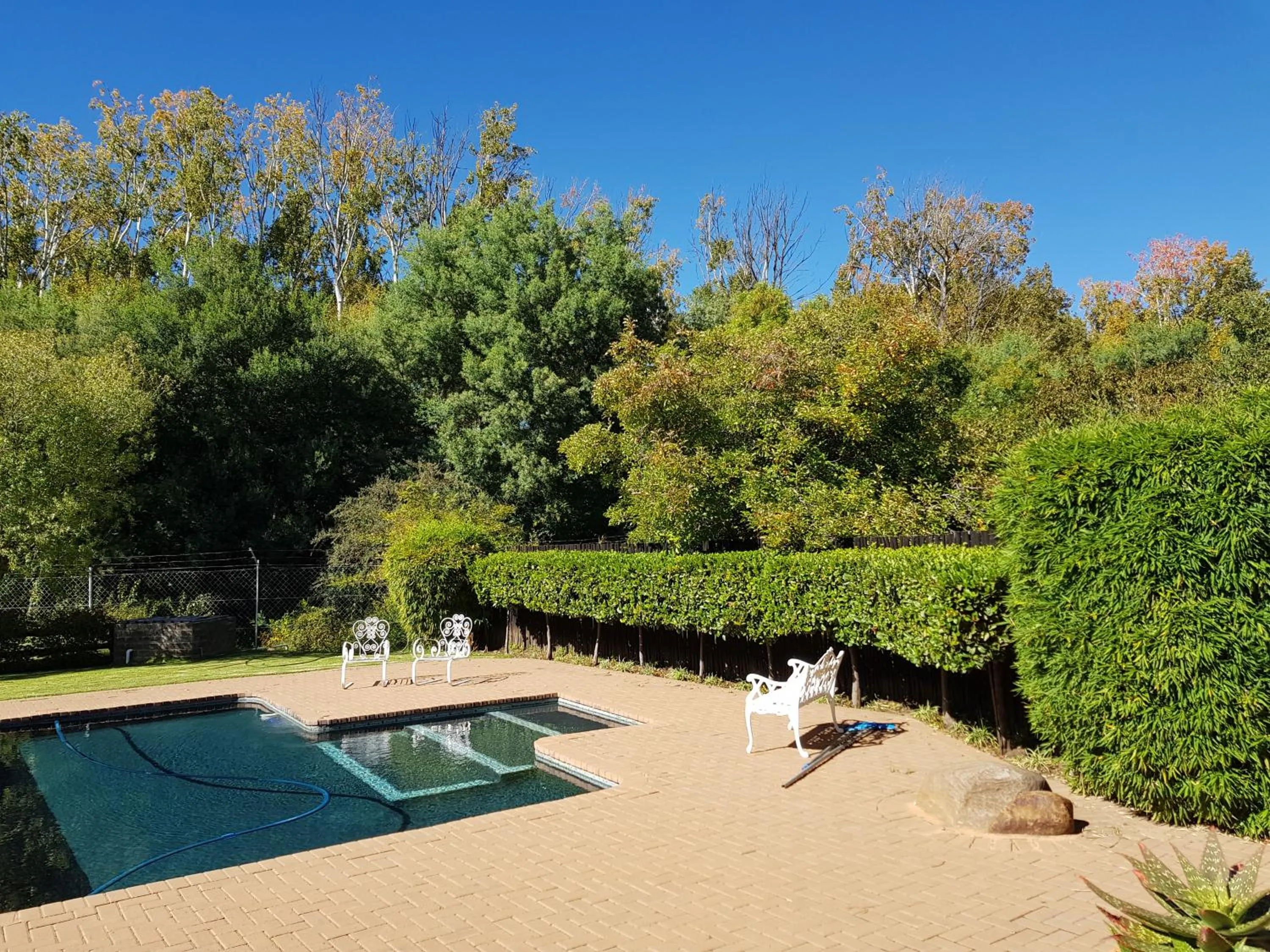 Swimming pool in 36 On Boom B&B