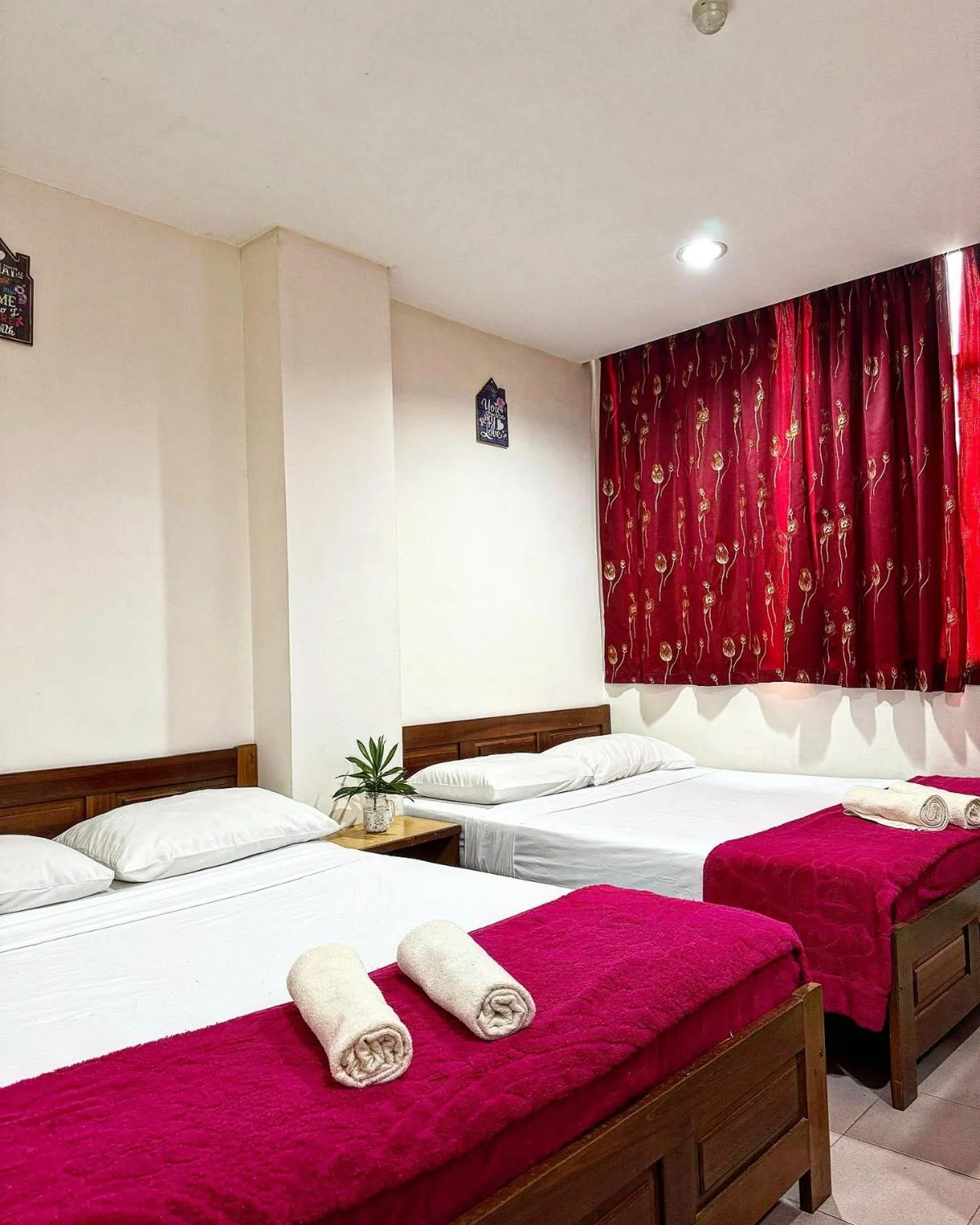 Bed in Town Inn Hotel - Rainforest