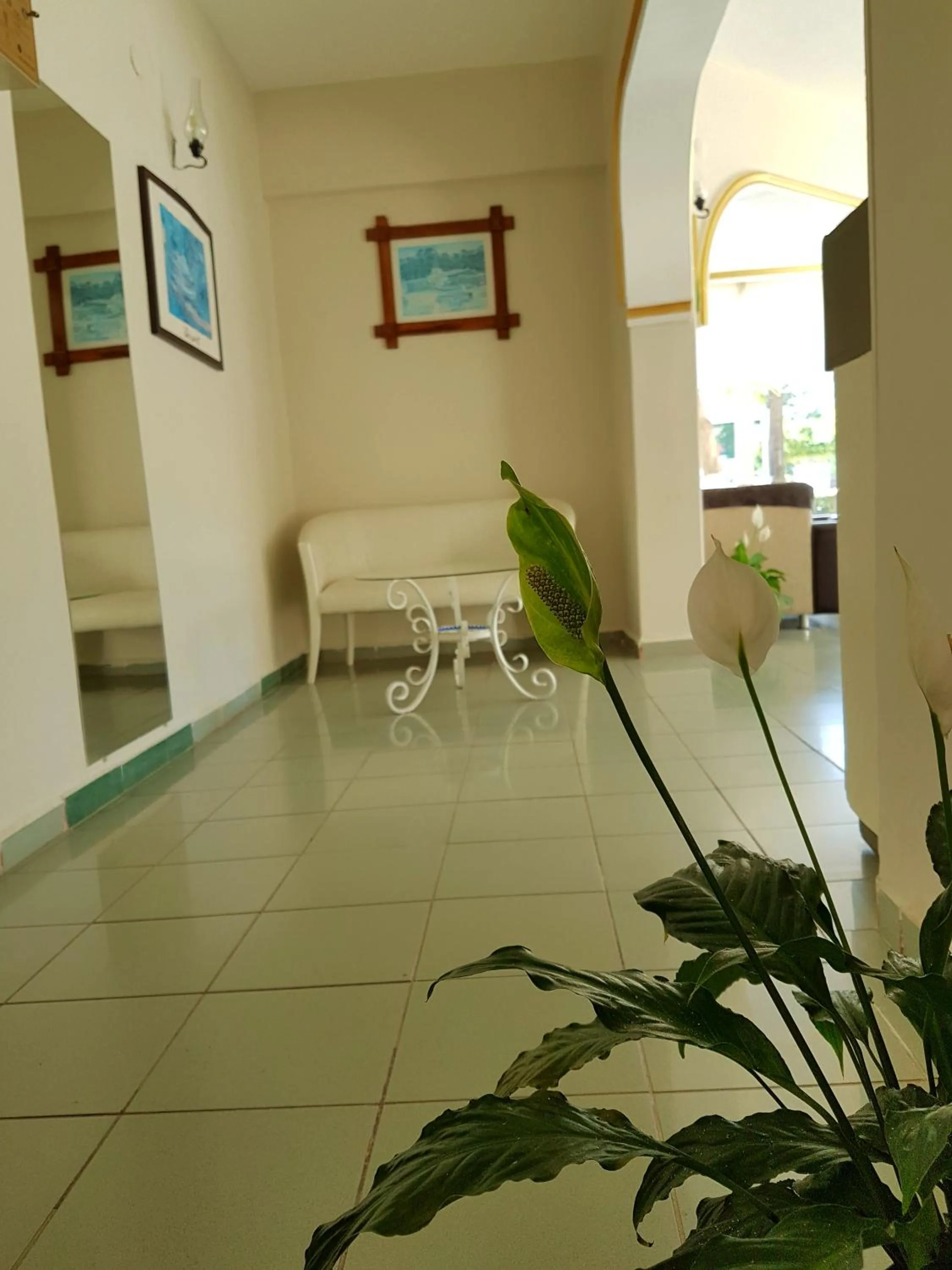 Lobby or reception in Palmen Apart Hotel