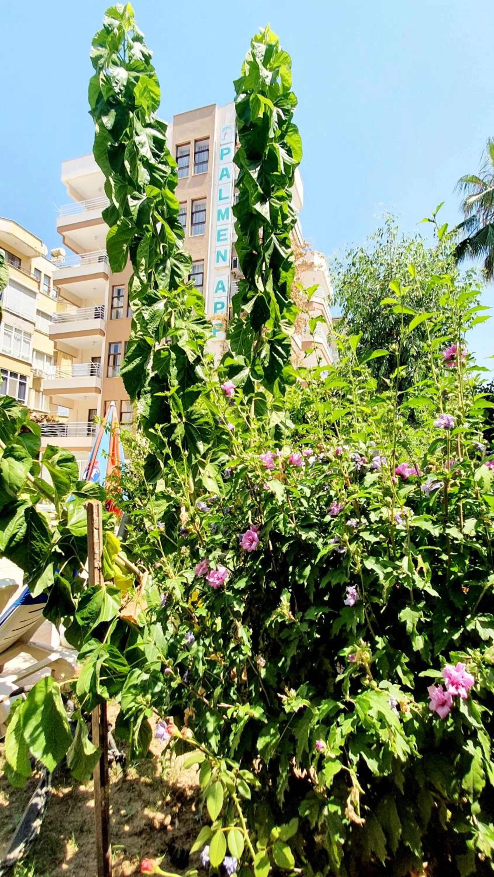 Property building in Palmen Apart Hotel