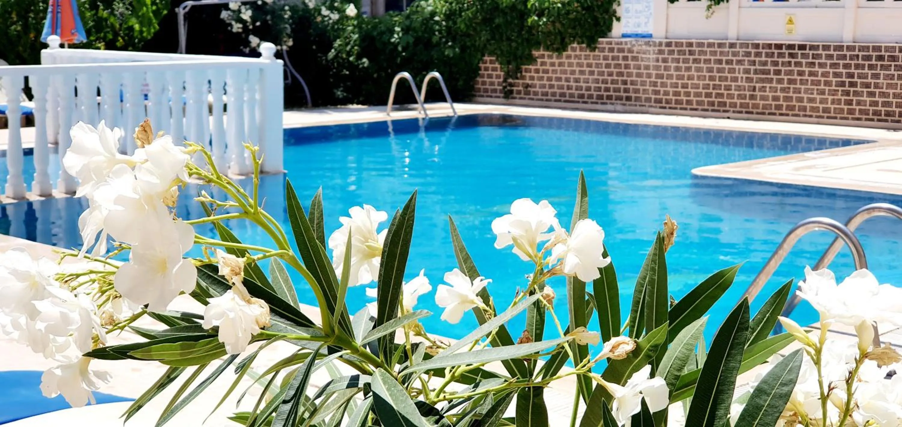 Pool view in Palmen Apart Hotel