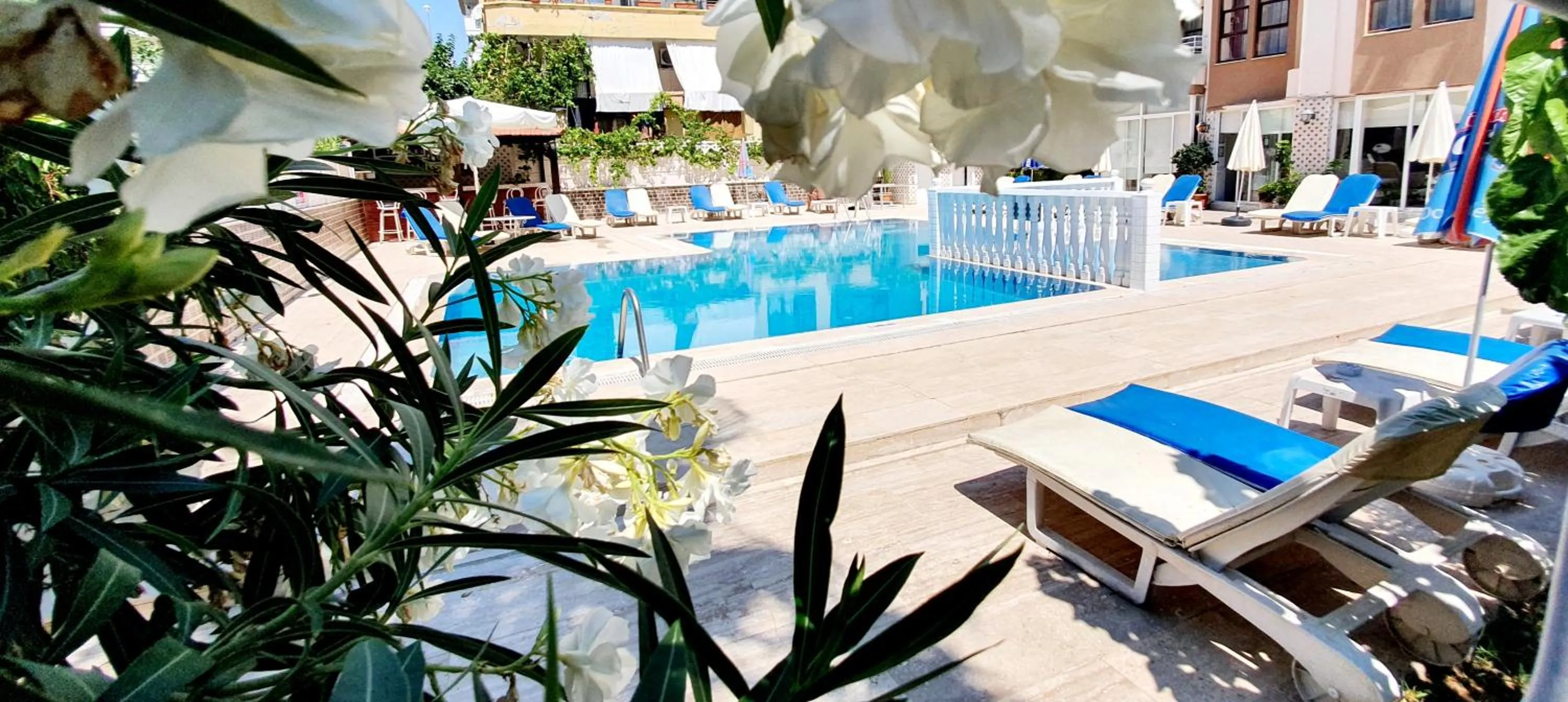 Pool view in Palmen Apart Hotel