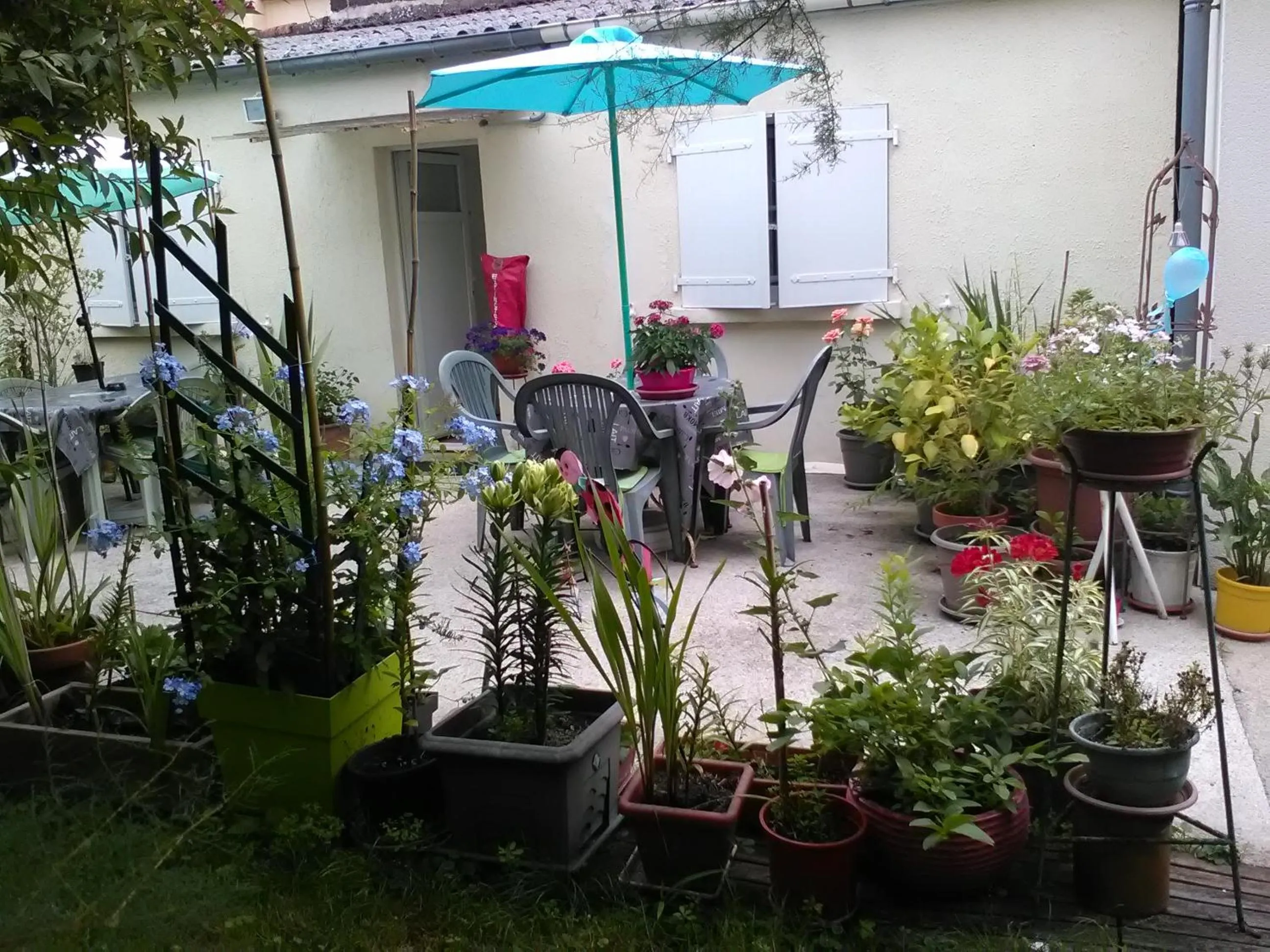 Garden view in Le Parisien