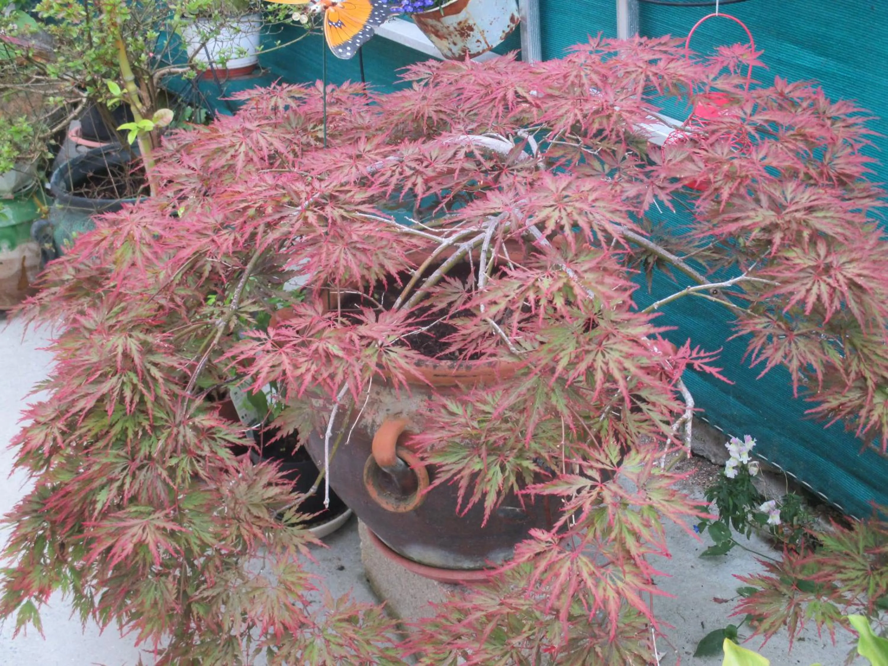 Decorative detail in Le Parisien