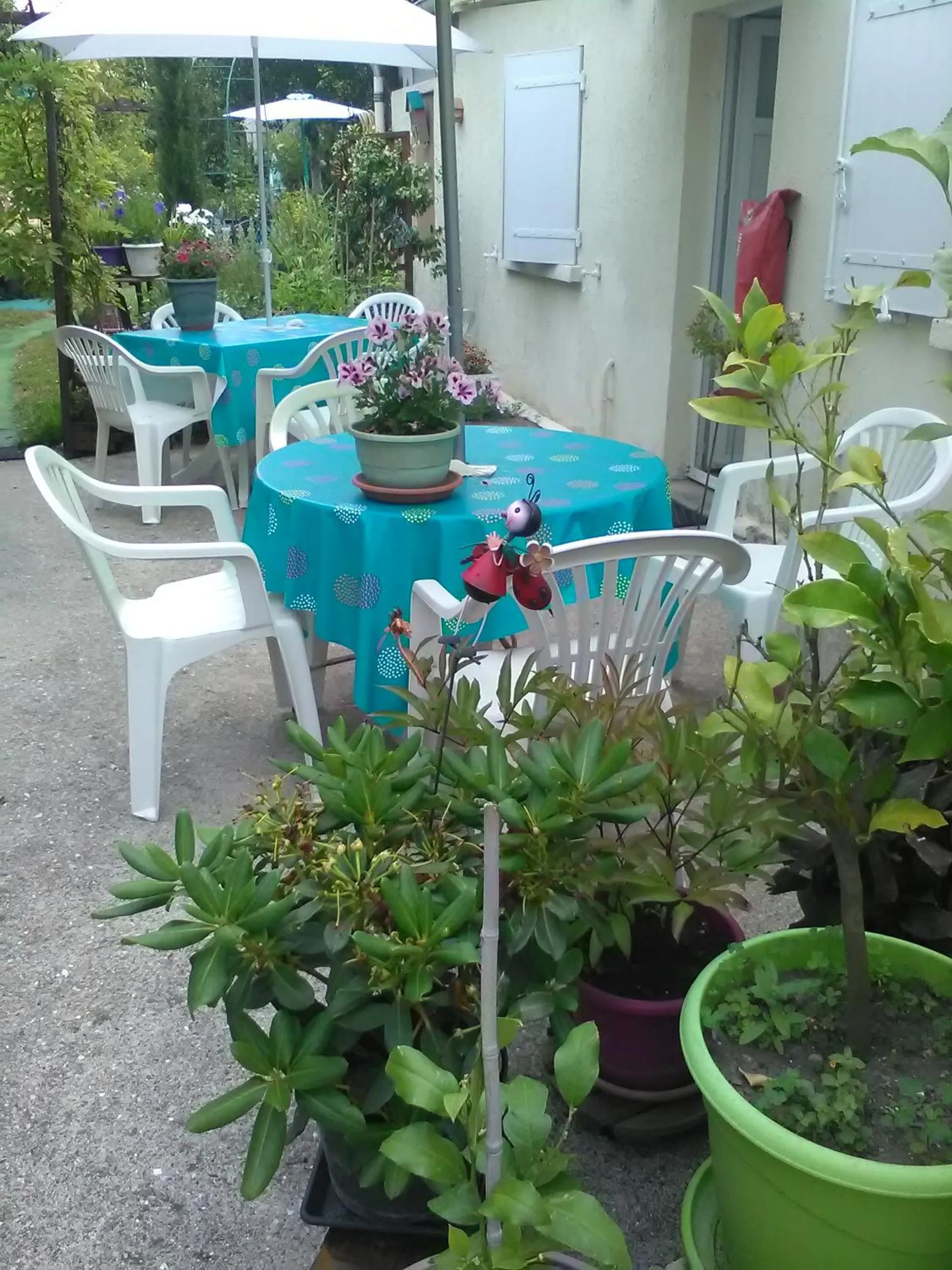 Garden in Le Parisien