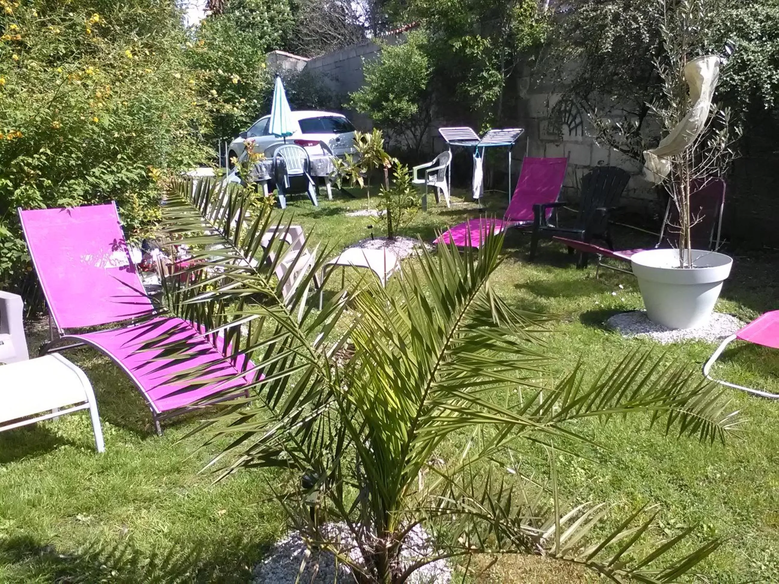 Garden in Le Parisien