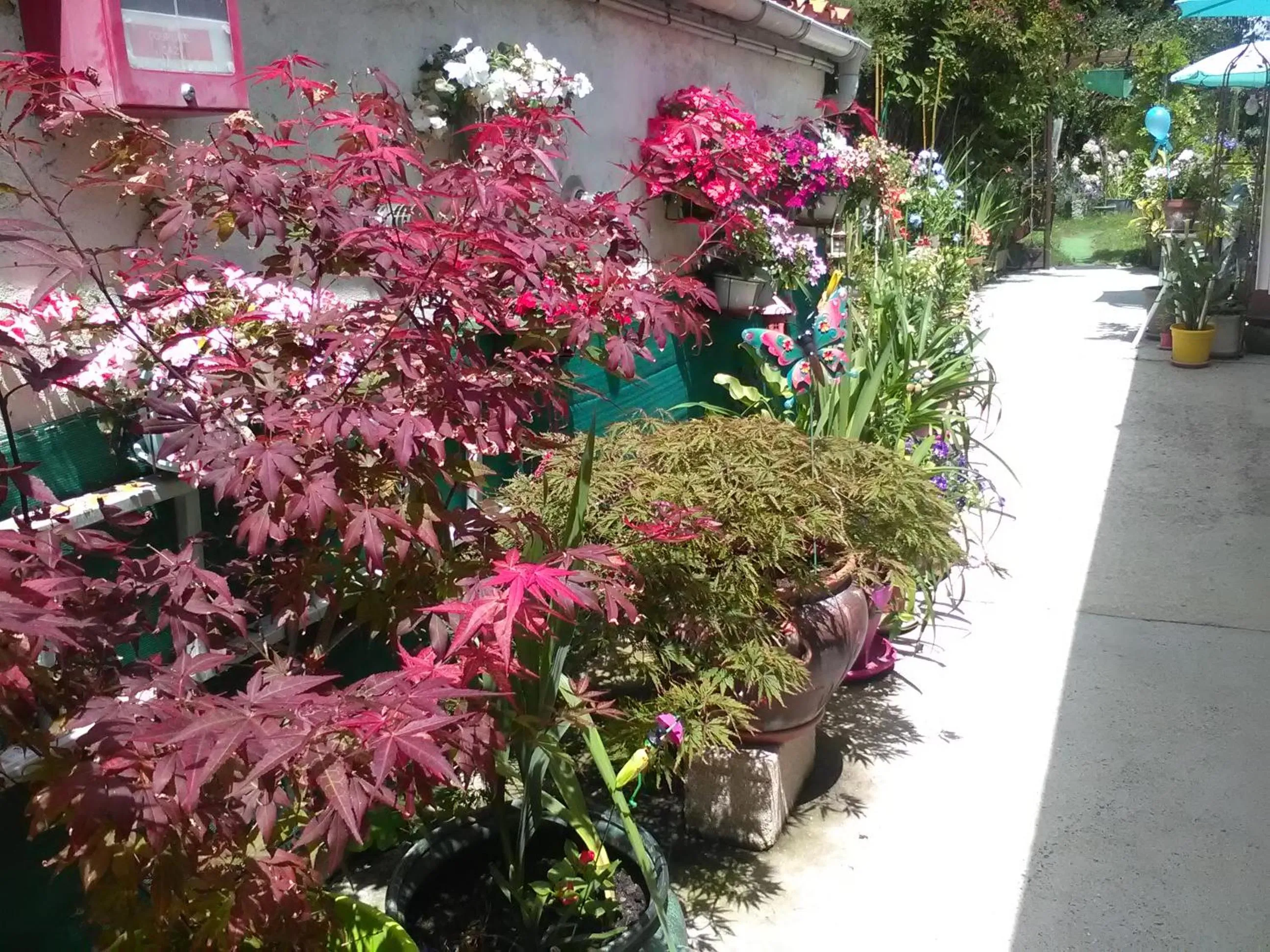 Summer in Le Parisien