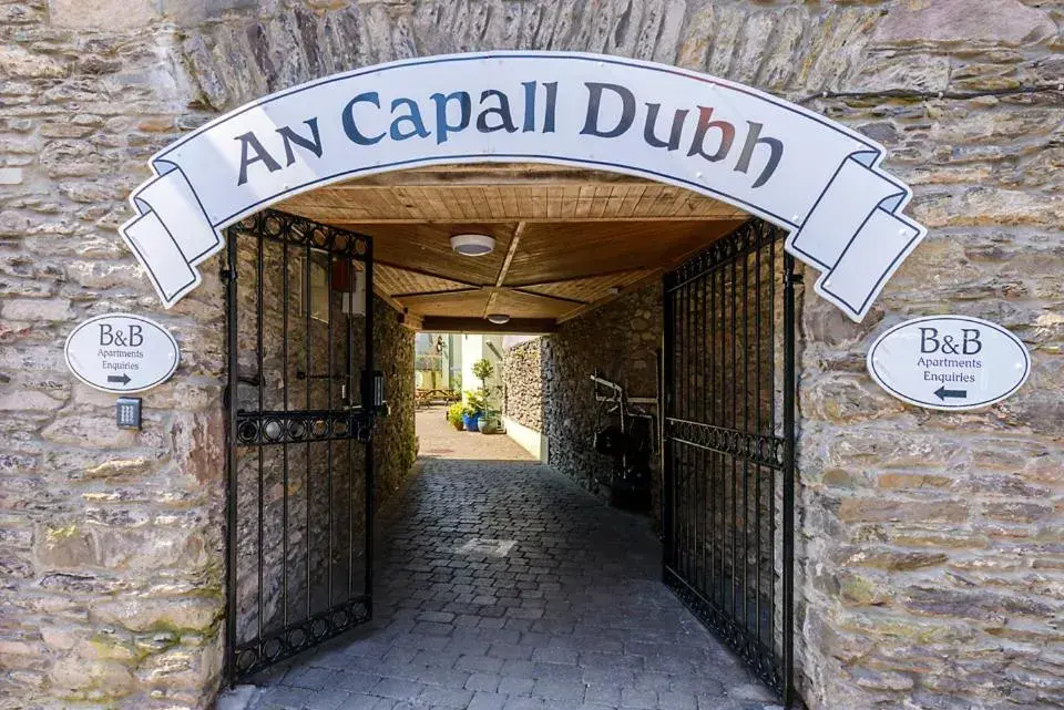 An Capall Dubh B&B Dingle An Capall Dubh B&B Dingle