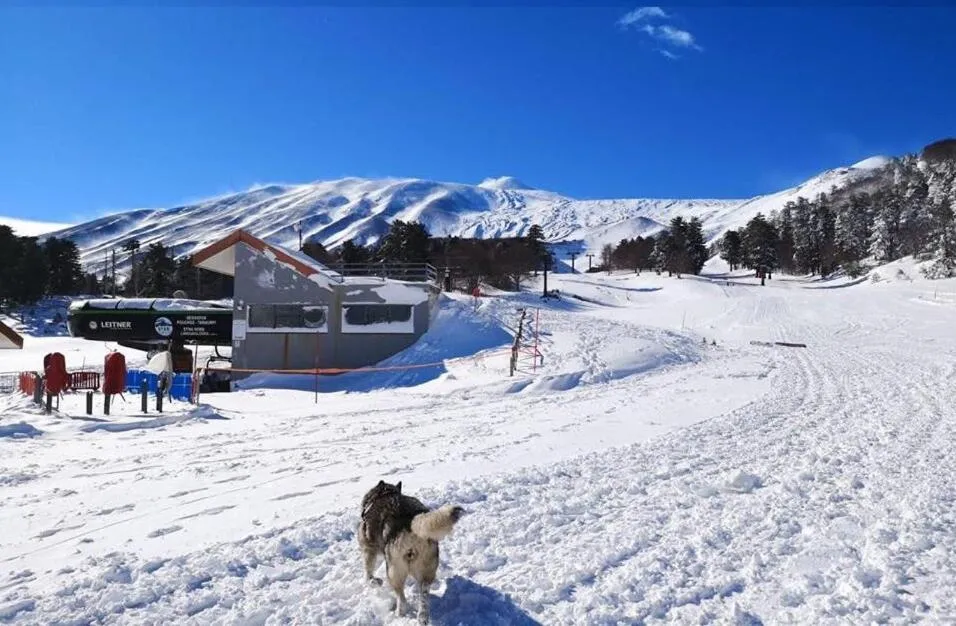 Ski School in B&B BOUTIQUE DI CHARME "ETNA-RELAX-NATURA"