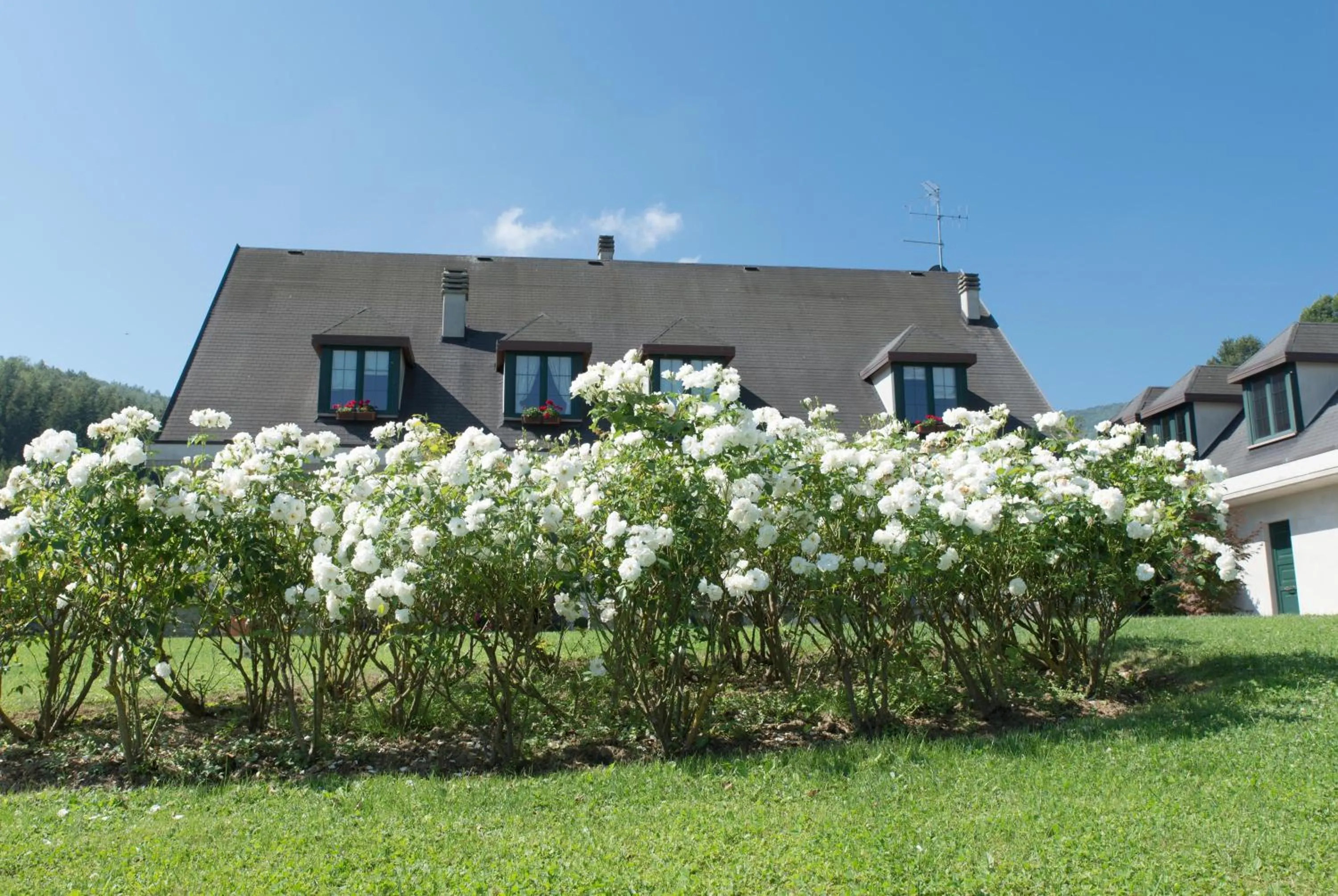 Facade/entrance in B&B La Provenzale