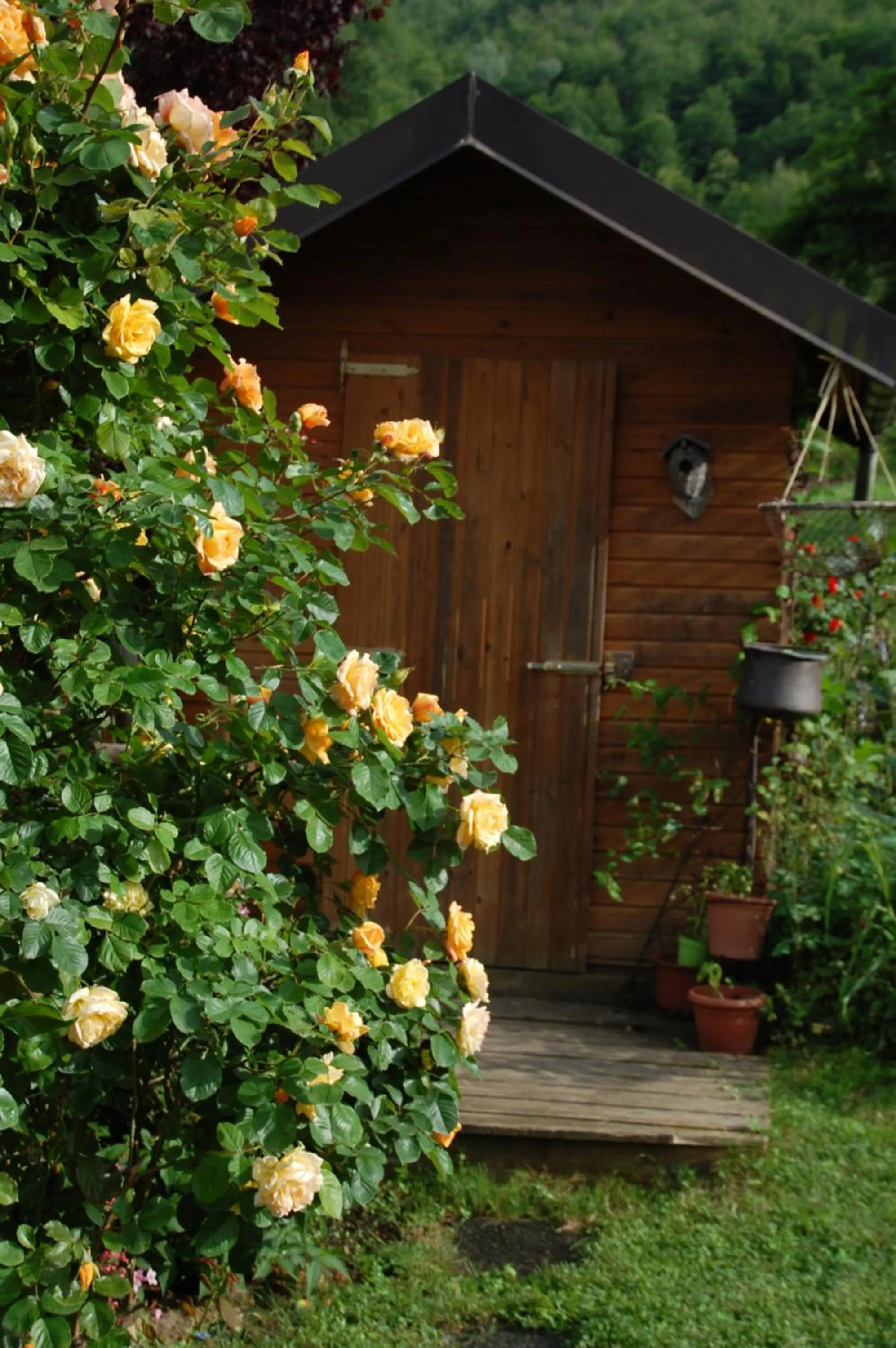 Garden in B&B La Provenzale
