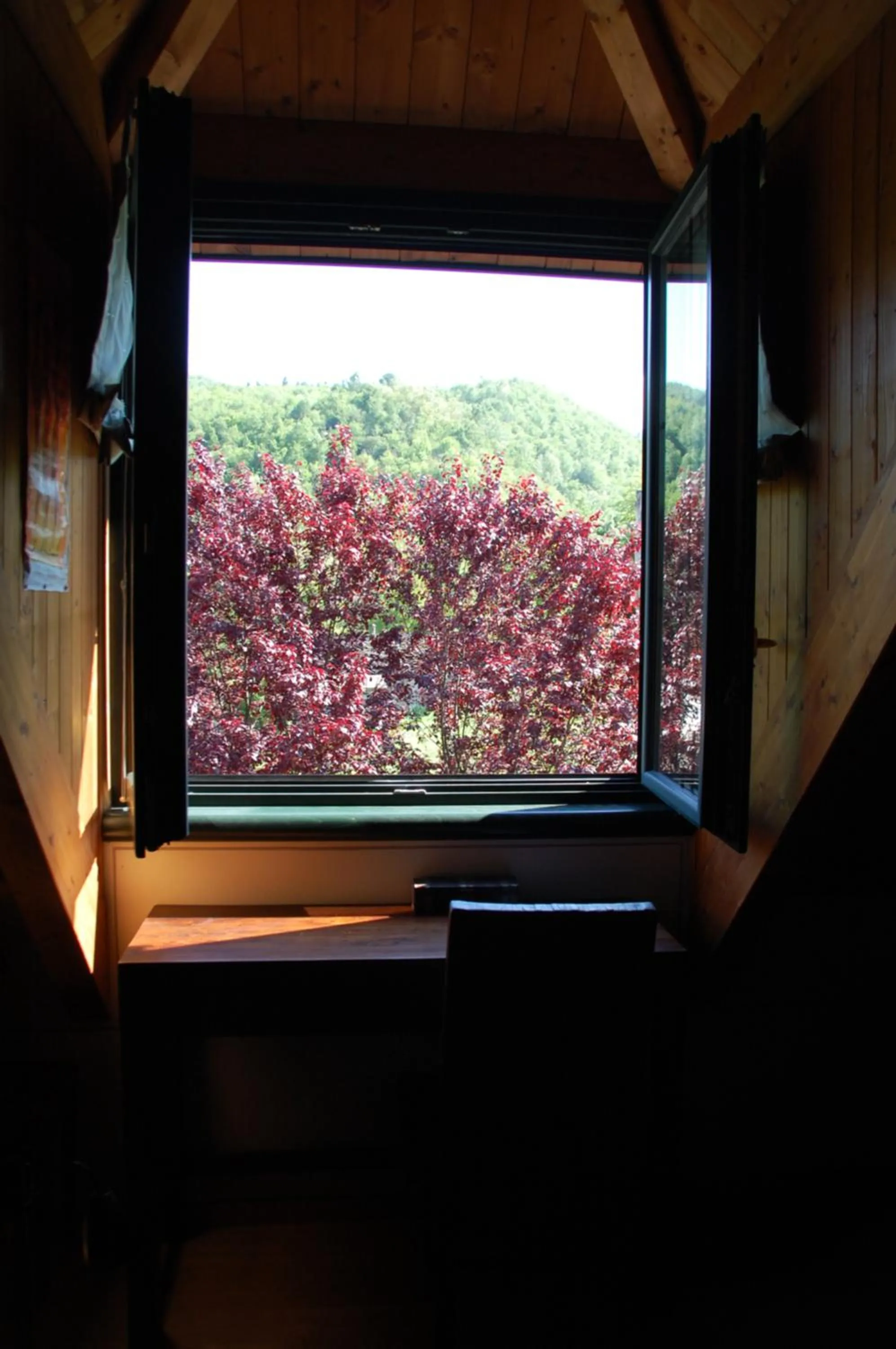 Garden view in B&B La Provenzale