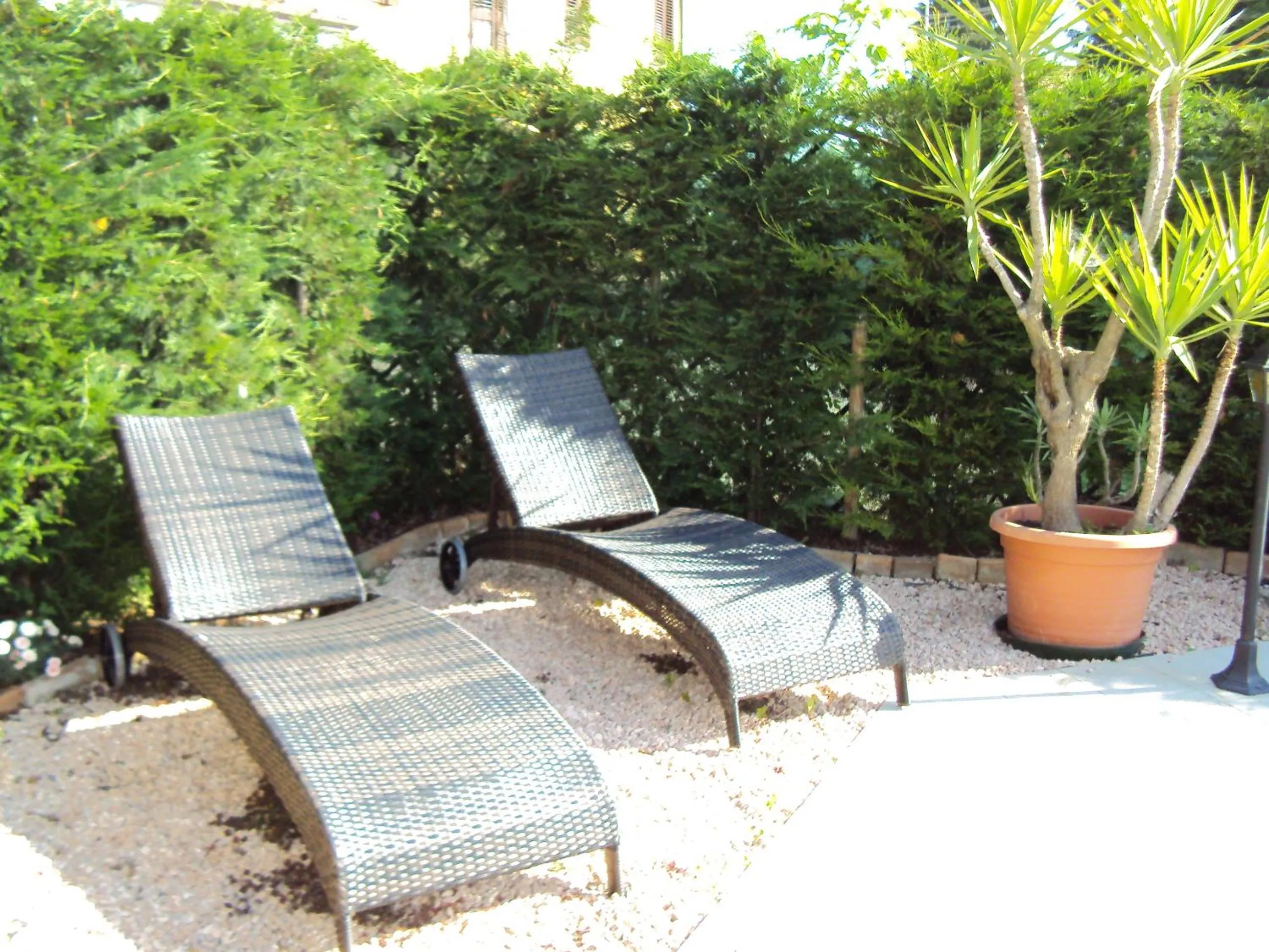Solarium in Casa di Campagna B&B La Corte Ferrara