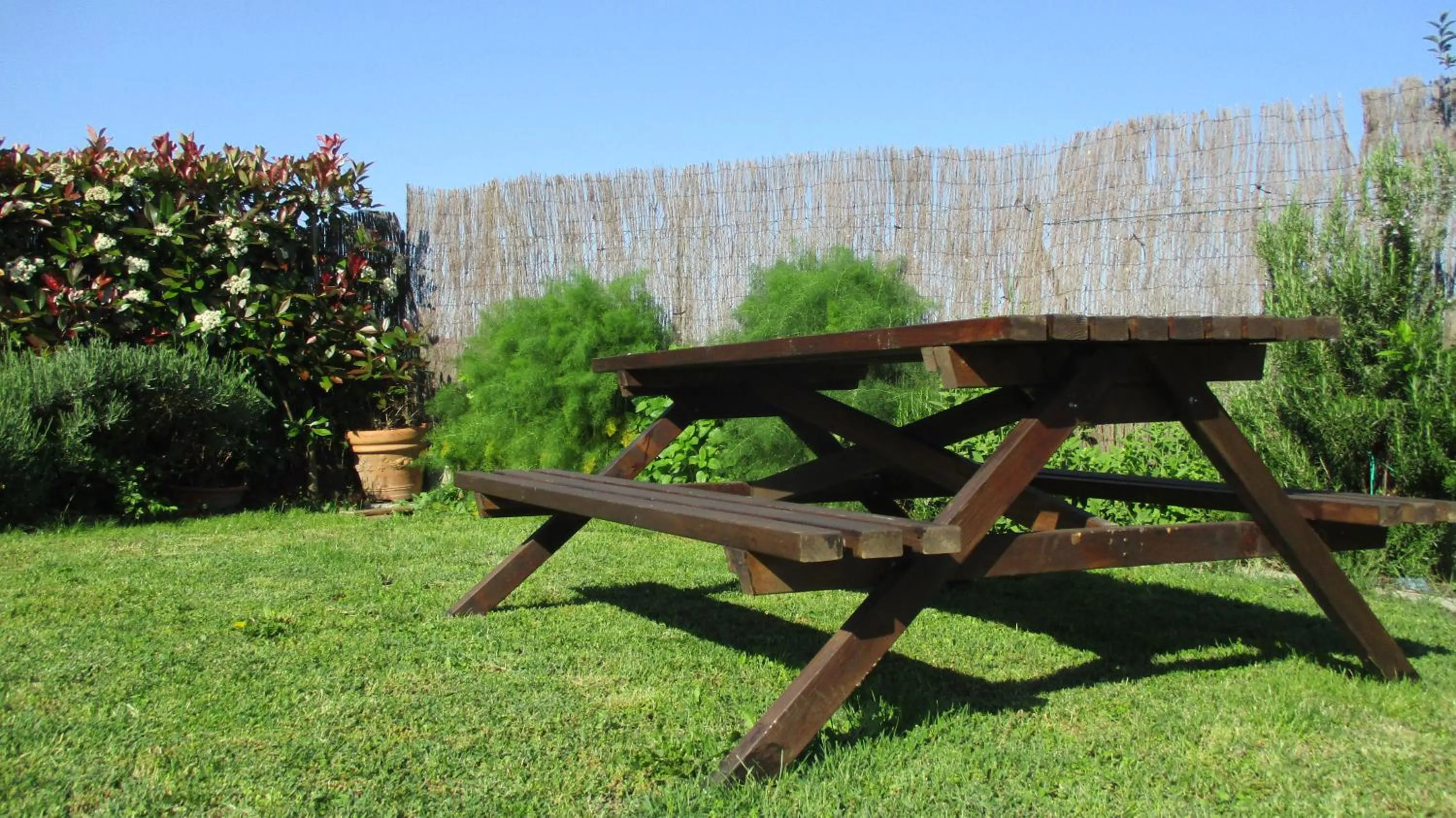 Garden in Casa di Campagna B&B La Corte Ferrara