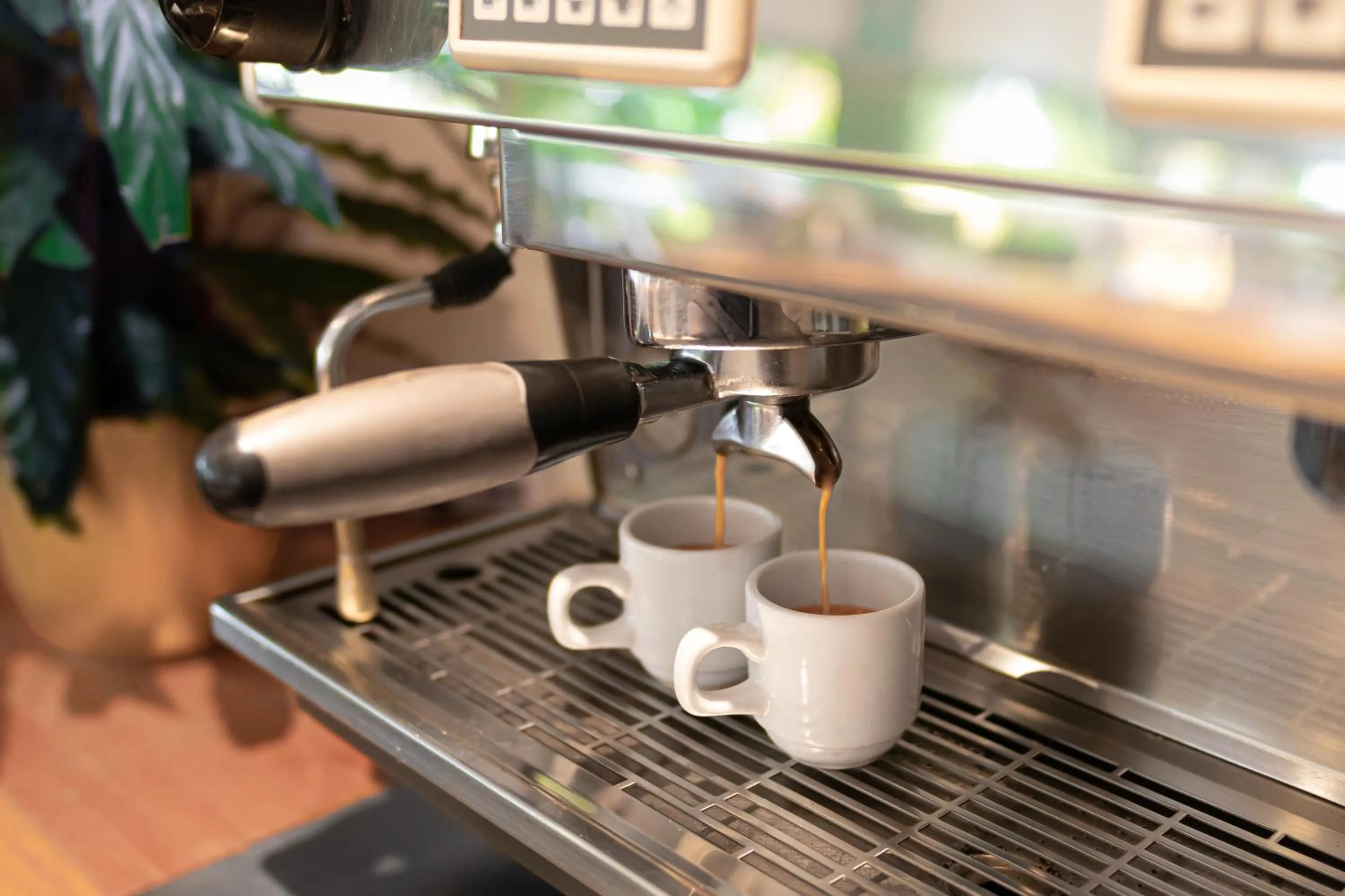 Day in Résidence Hôtelière les Acanthes