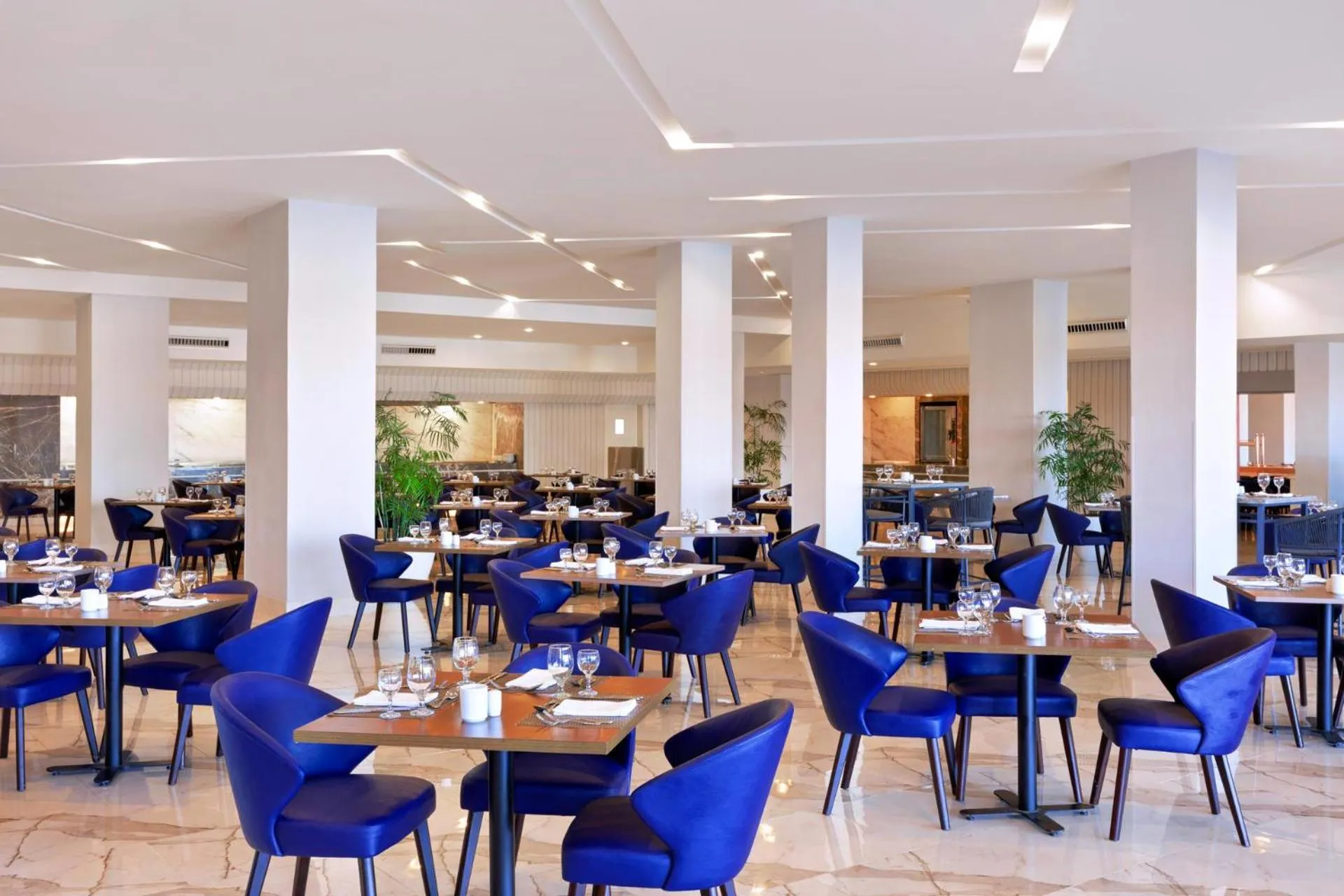 Restaurant/places to eat in Pickalbatros Laguna Vista Aqua Park - 24 HRS All Inclusive