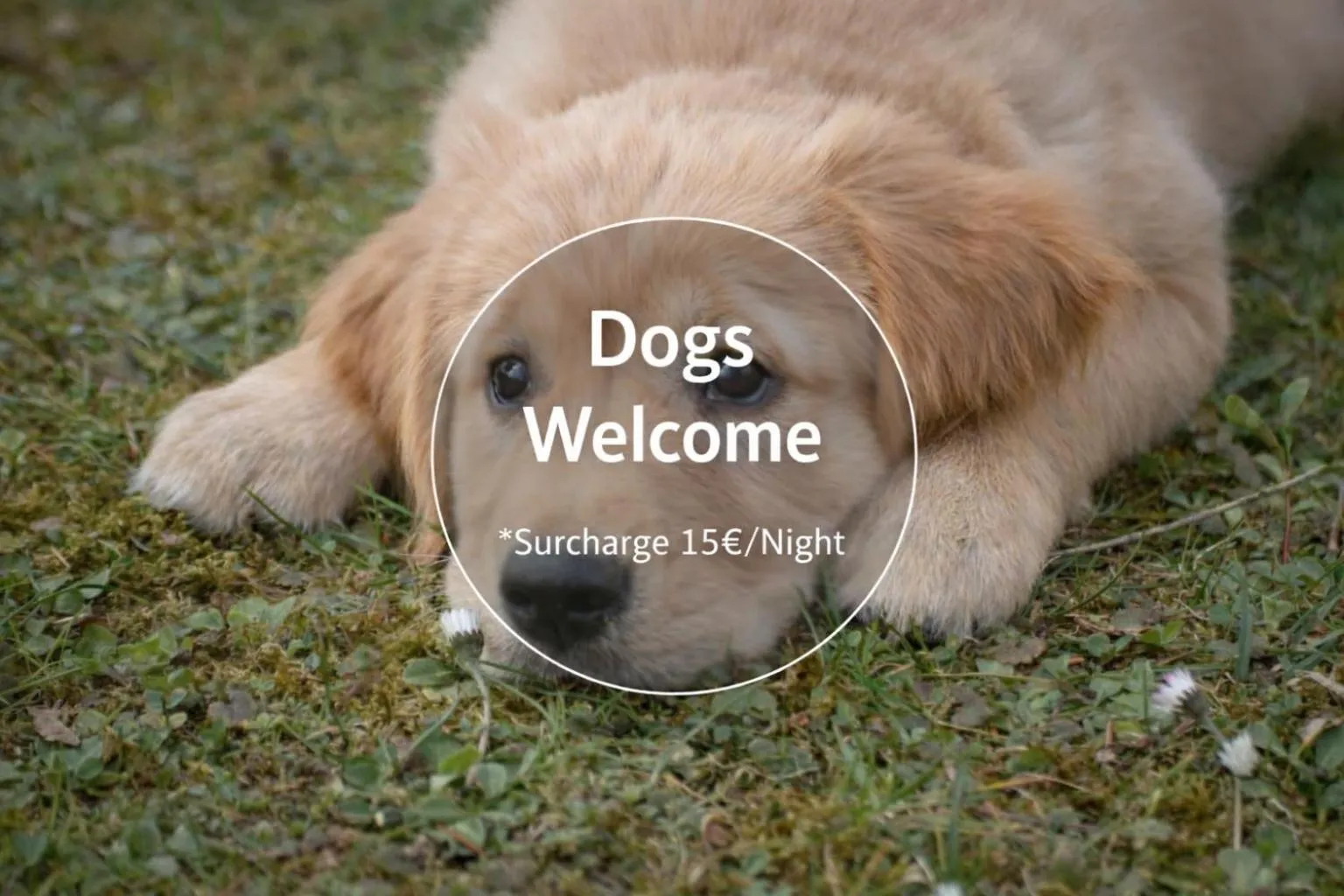 Summer in Mühlengarten by Relax Inn