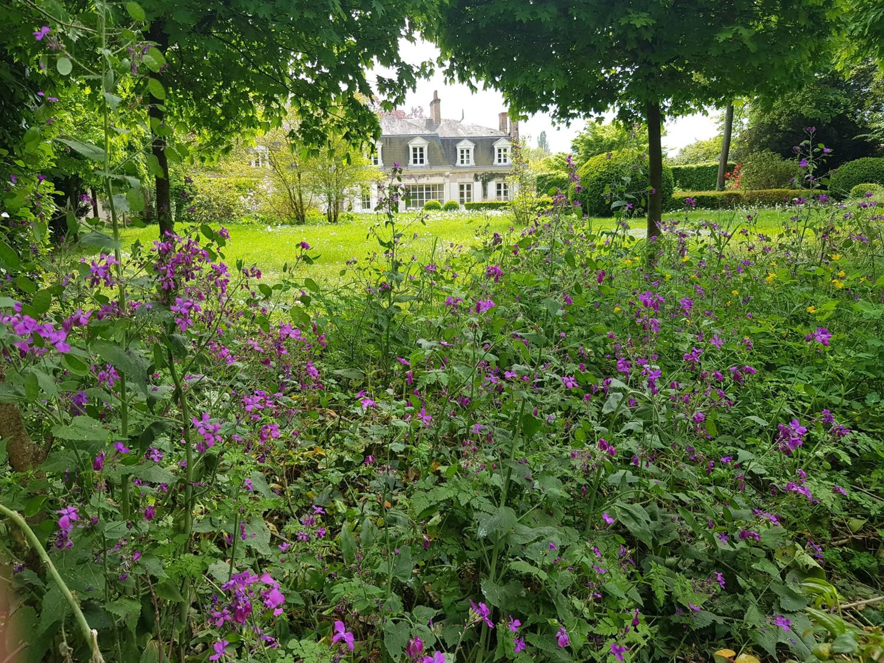 Spring in La Taille de Biou