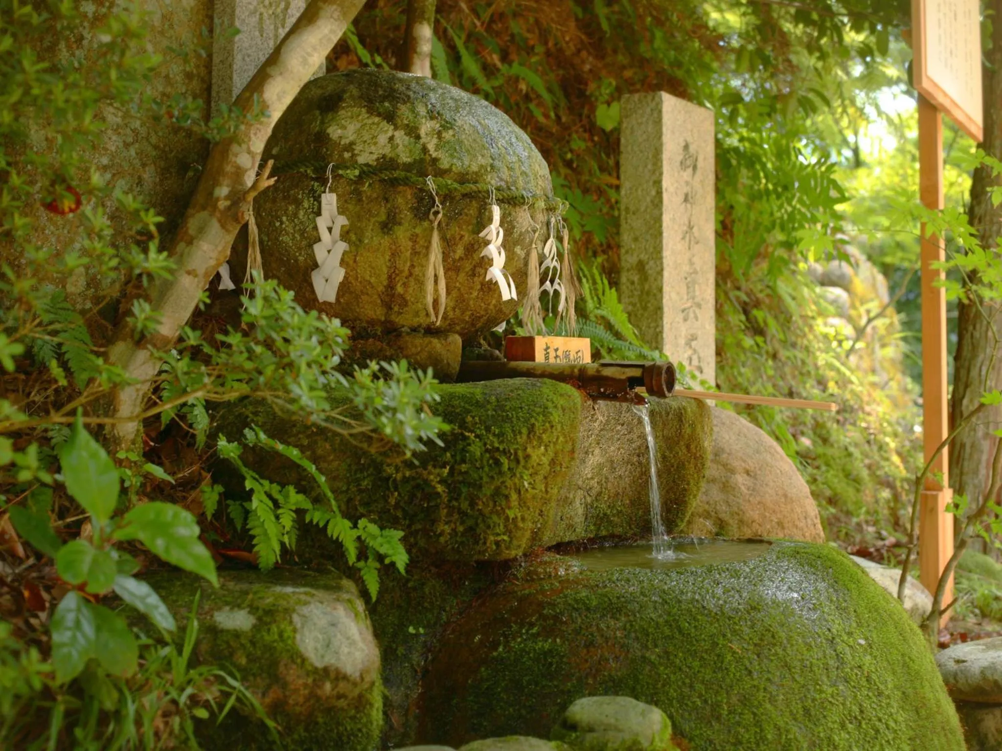 Nearby landmark in Hoseikan