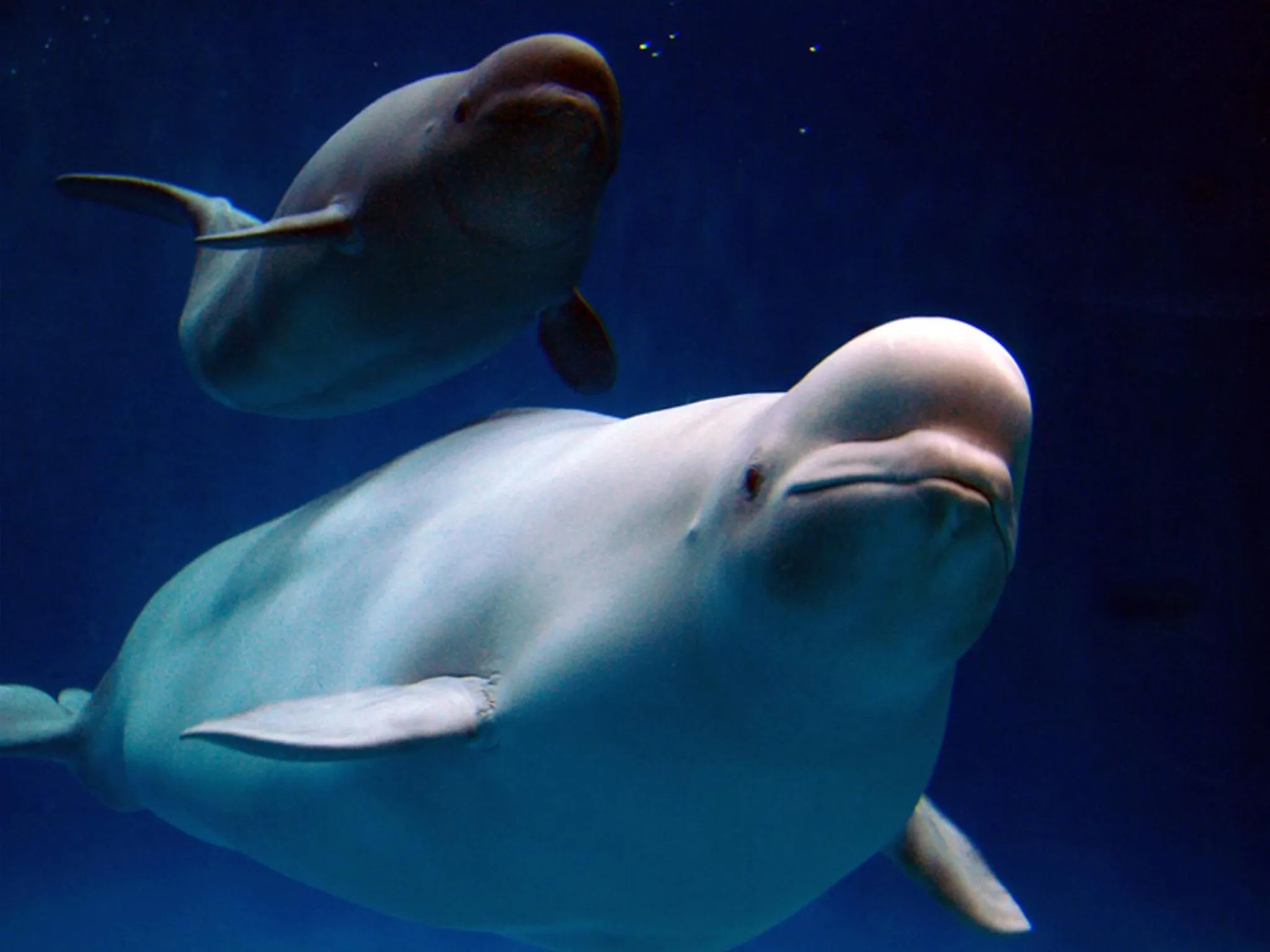 Nearby landmark in Ryotei Yamanoi