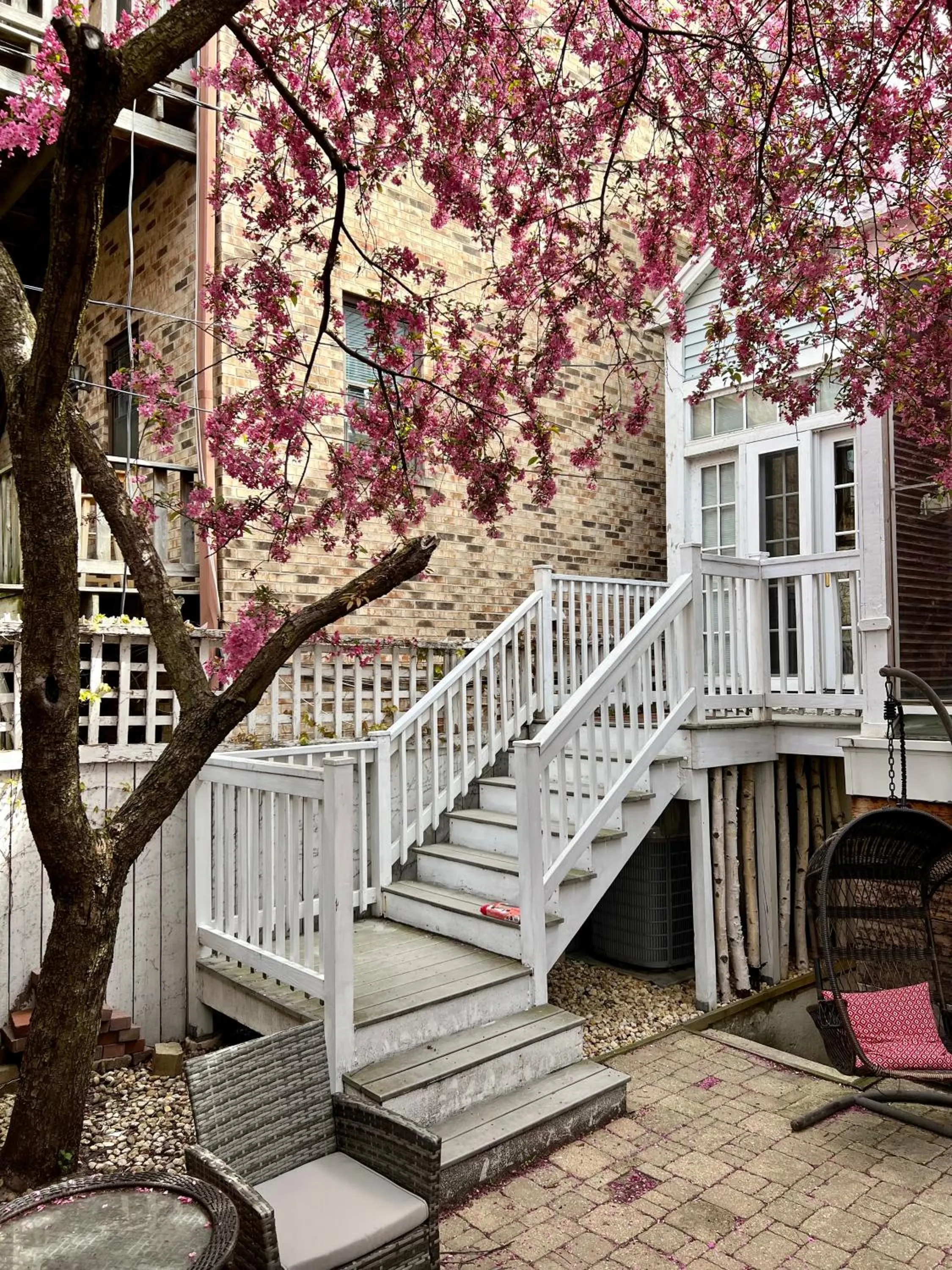 Property building in 5 Bedroom Huge House in Best Location Parking Fireplace Back Yard