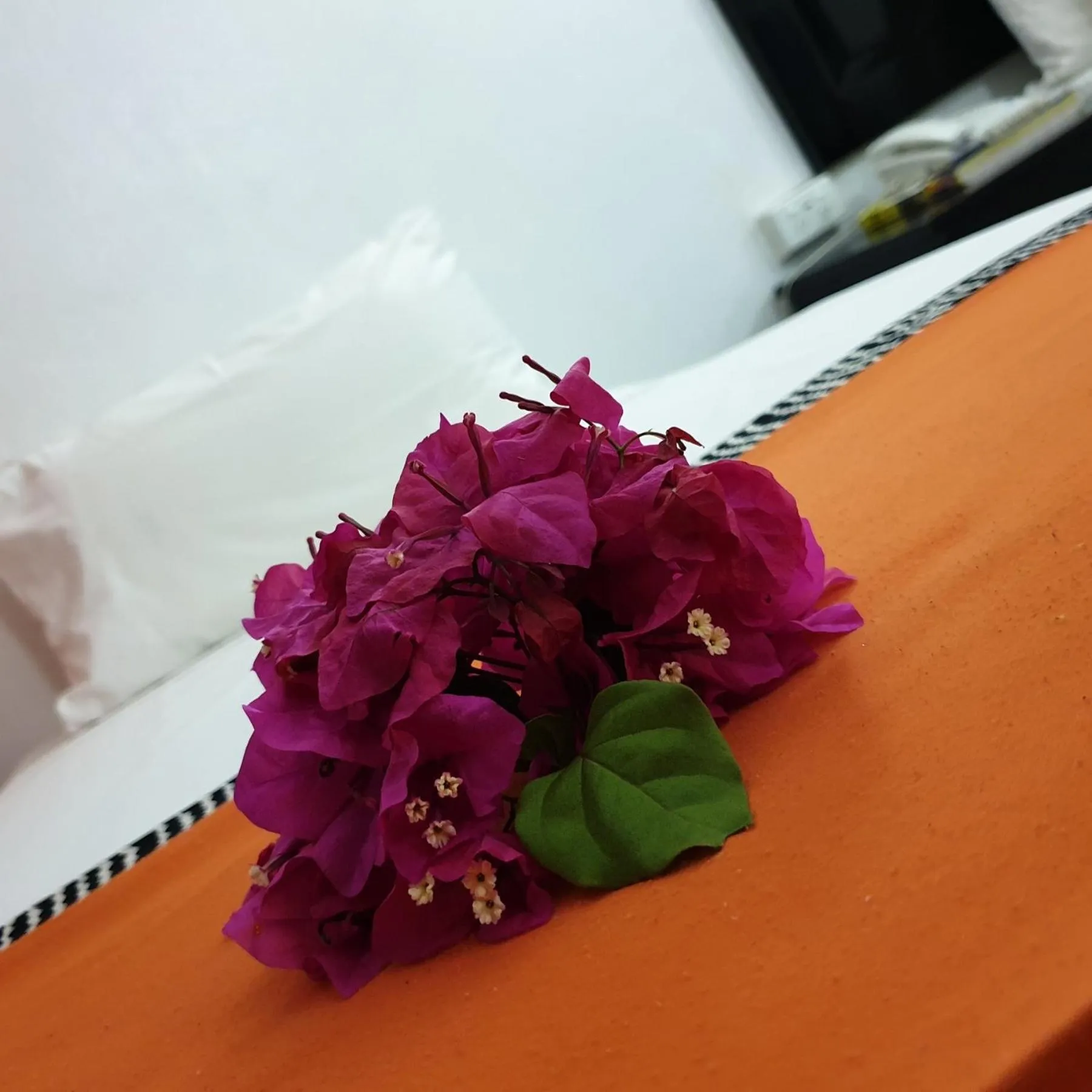 Bed in Suva Motor Inn