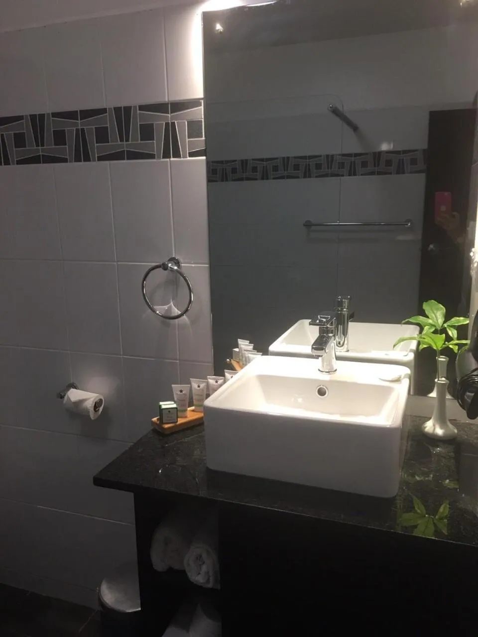 Bathroom in Suva Motor Inn