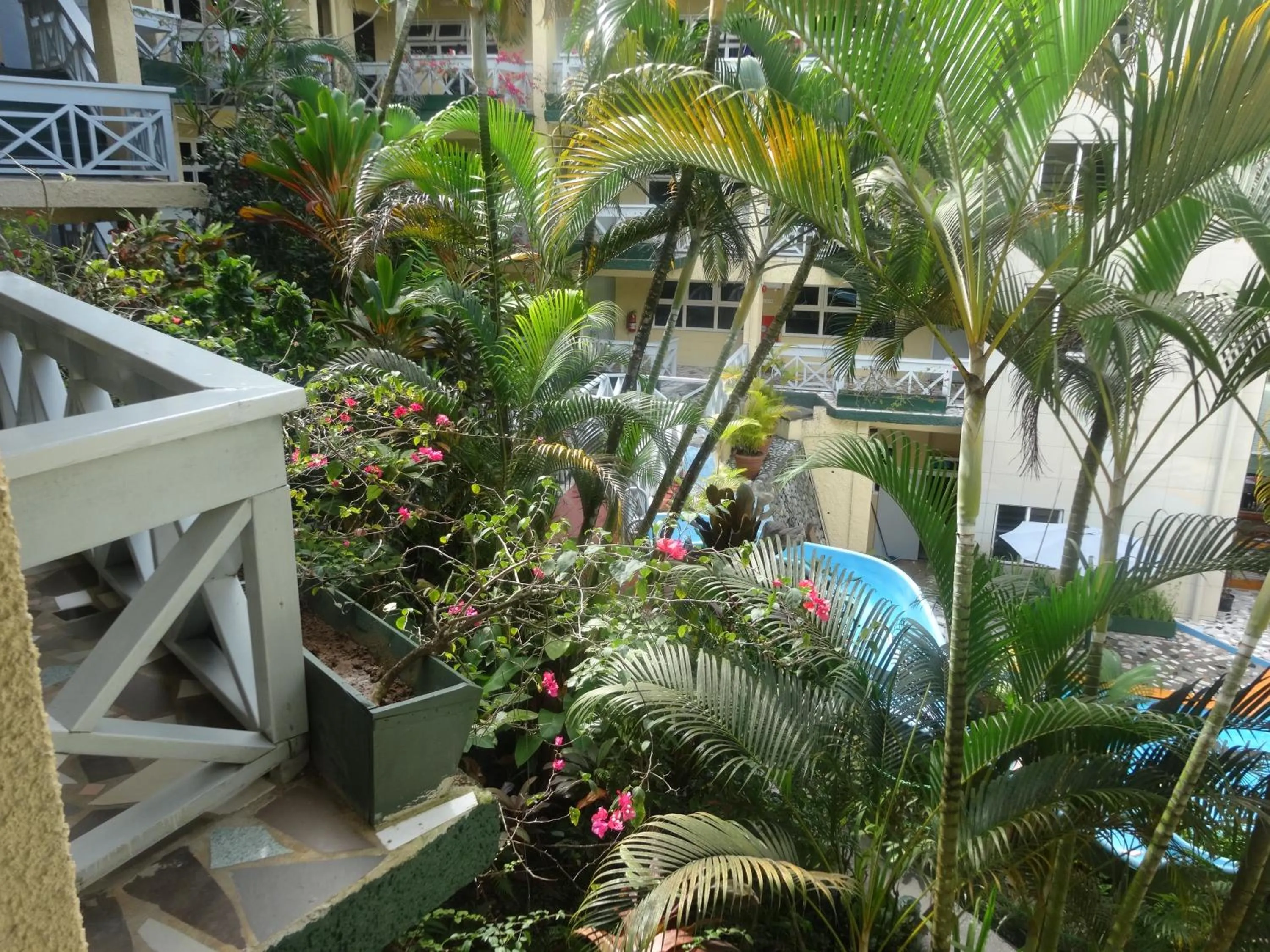 Garden view in Suva Motor Inn