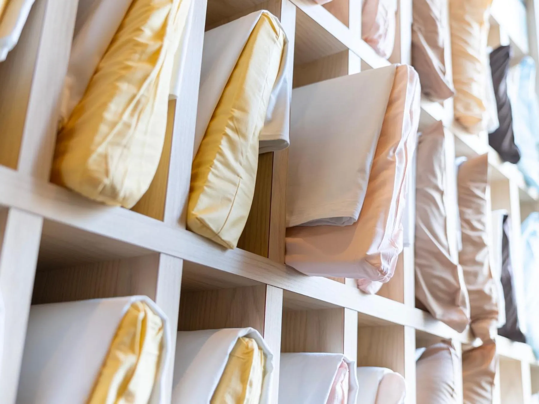 Other in Super Hotel Kochi