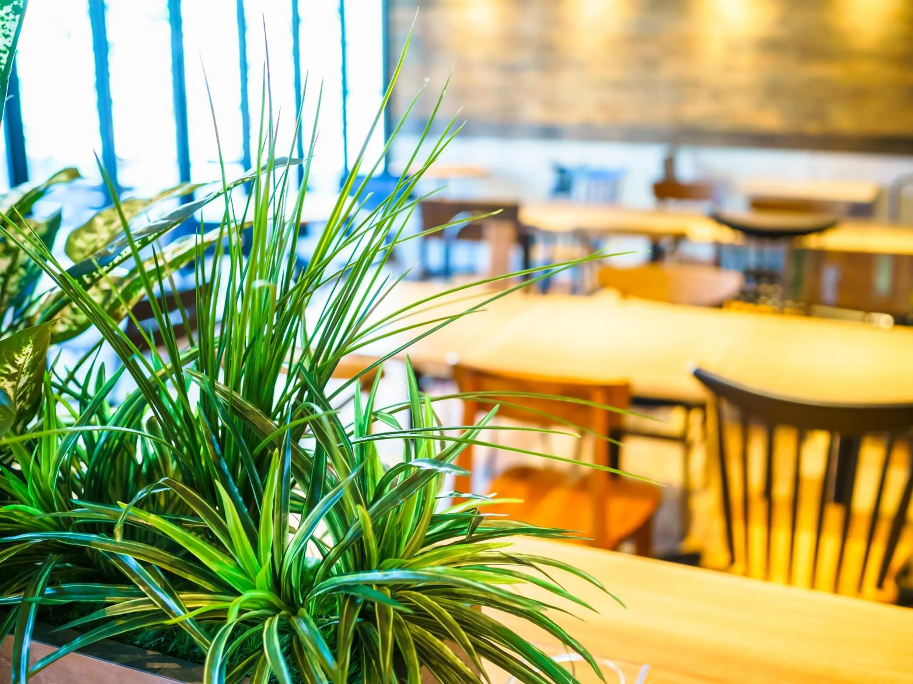 Lounge or bar in Super Hotel Kochi