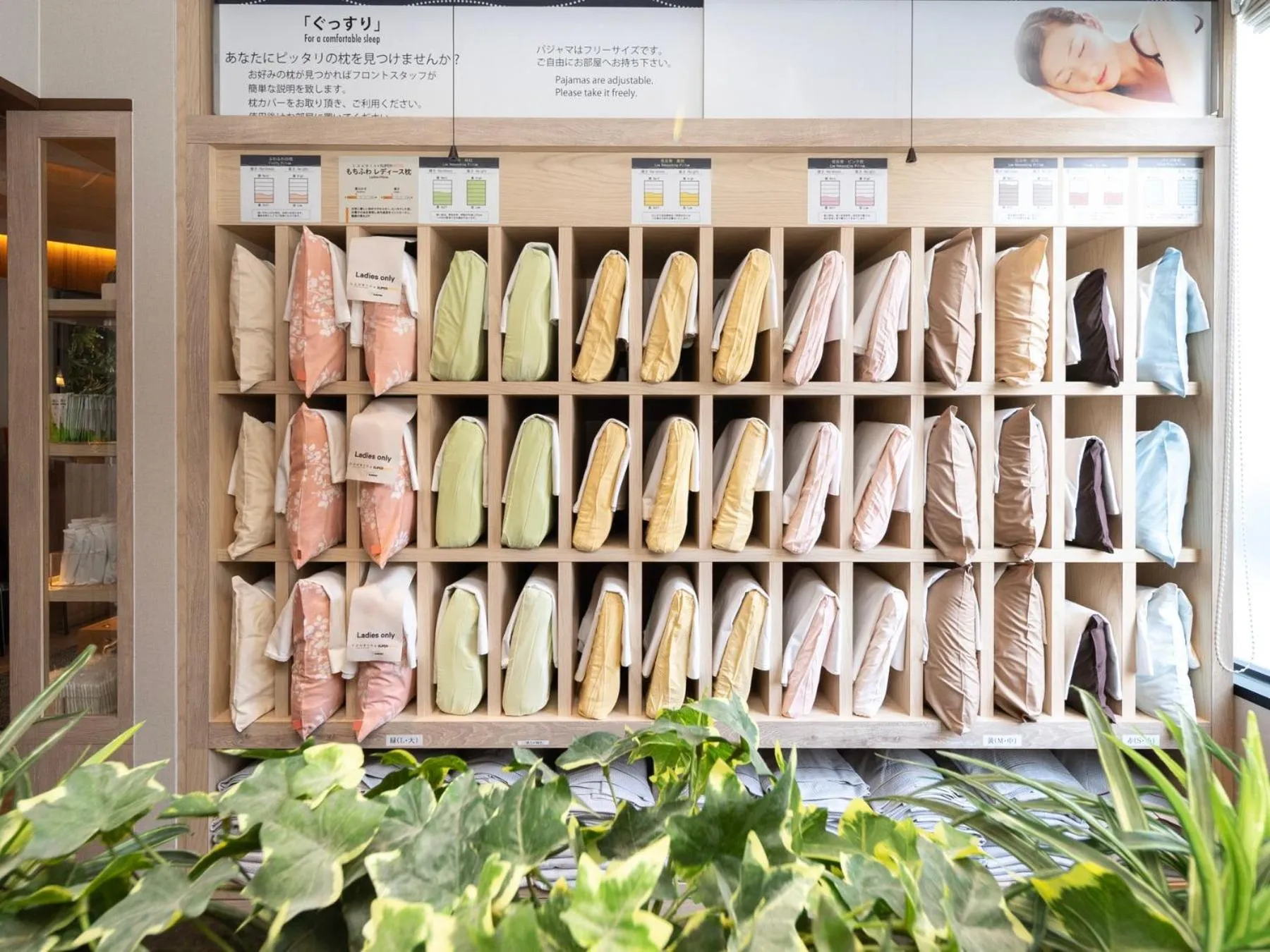 Area and facilities in Super Hotel Kochi