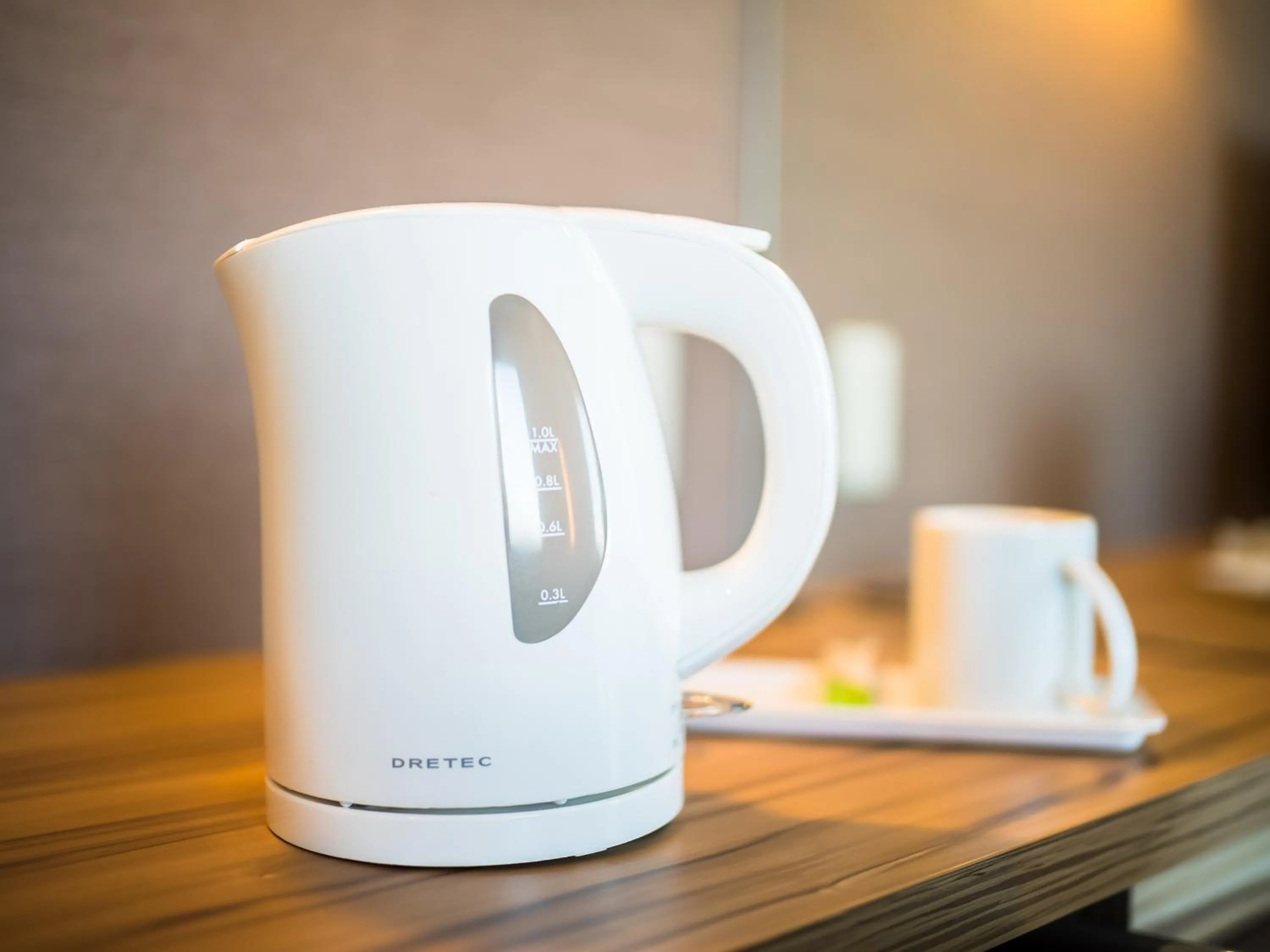 Decorative detail in Super Hotel Kochi