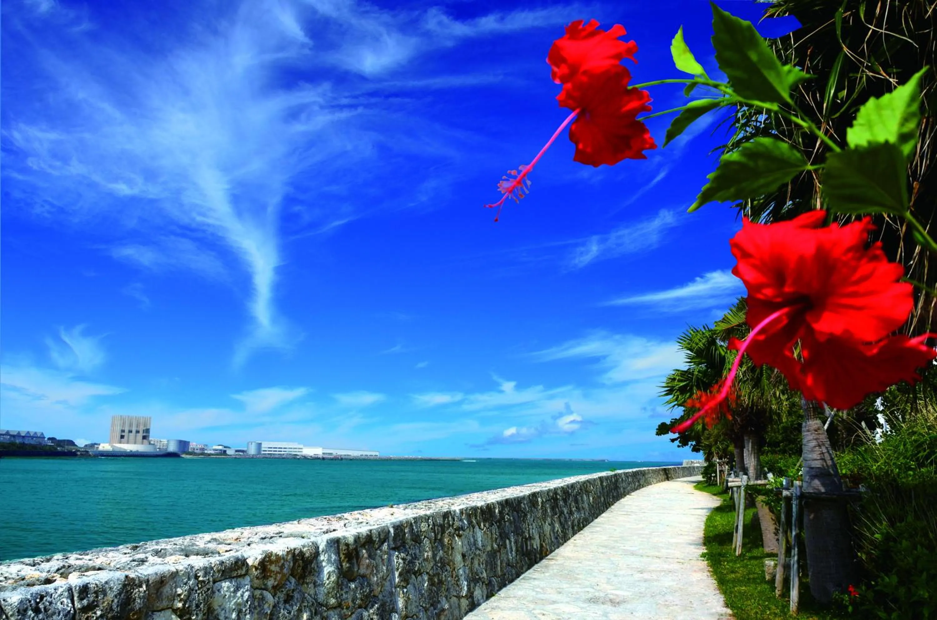 View (from property/room) in Loisir Spa Tower Naha