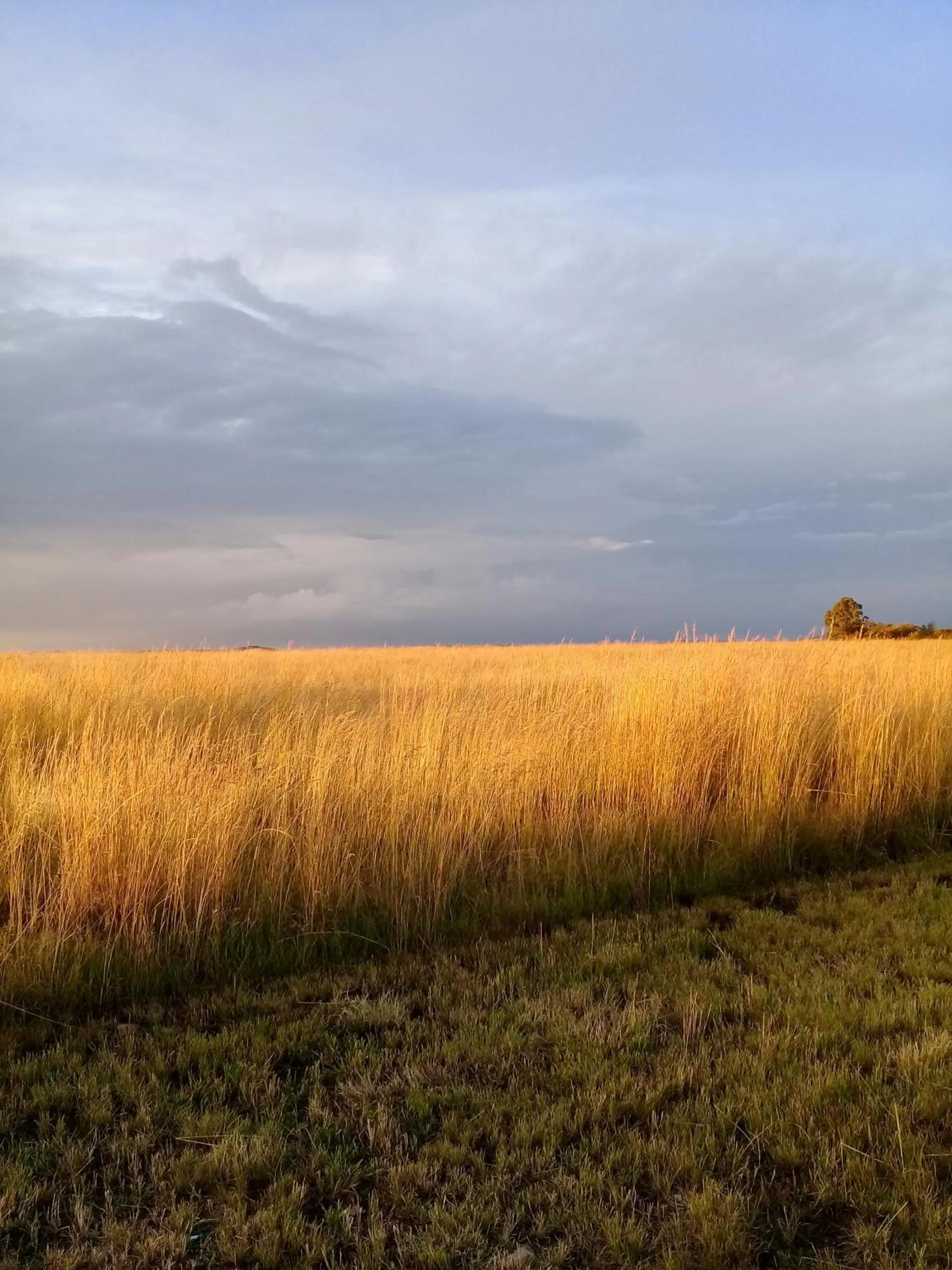 Sunset in Brentwood Lodge