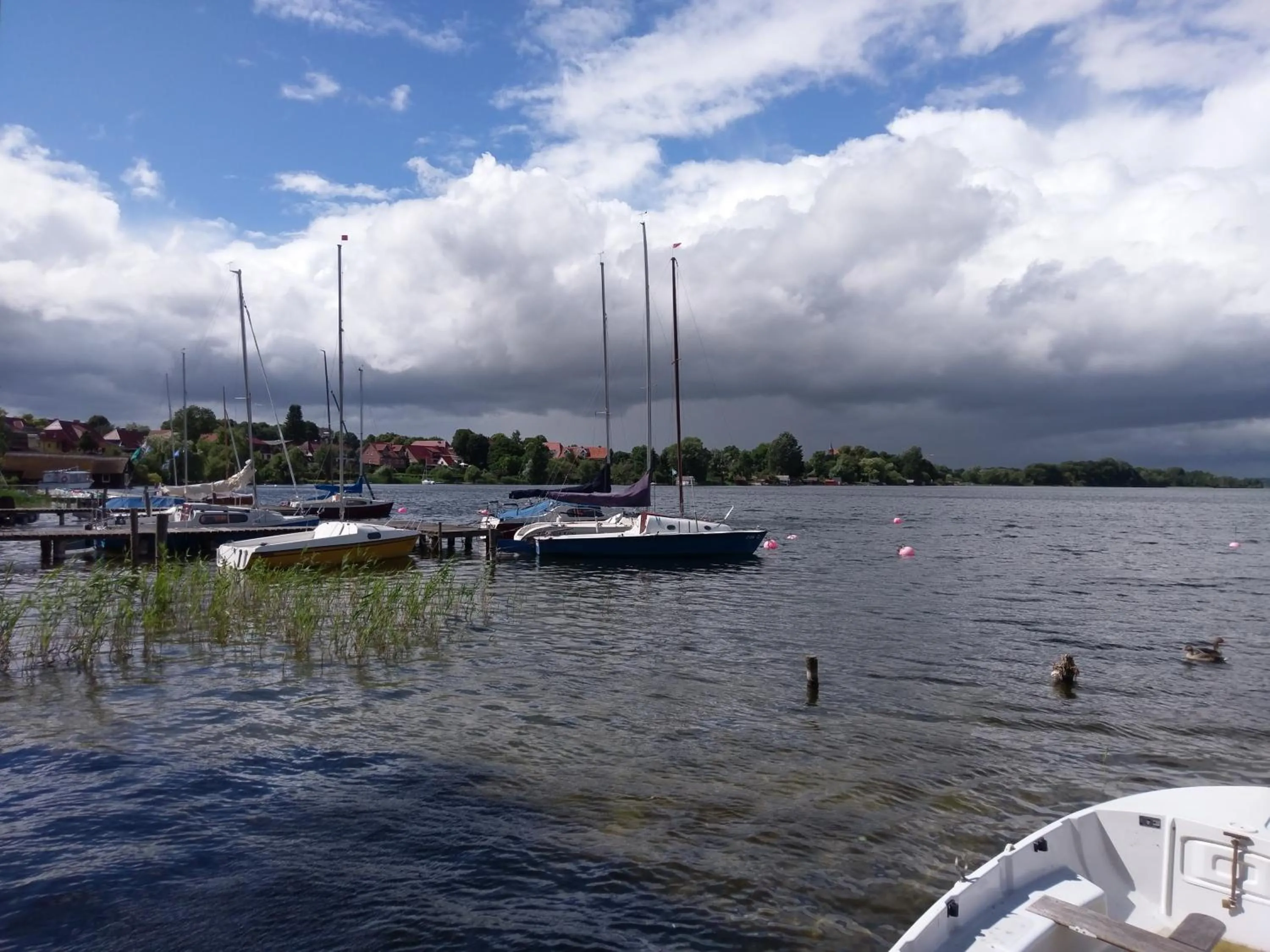 Natural landscape in Hotel Garni "Villa am Schaalsee"