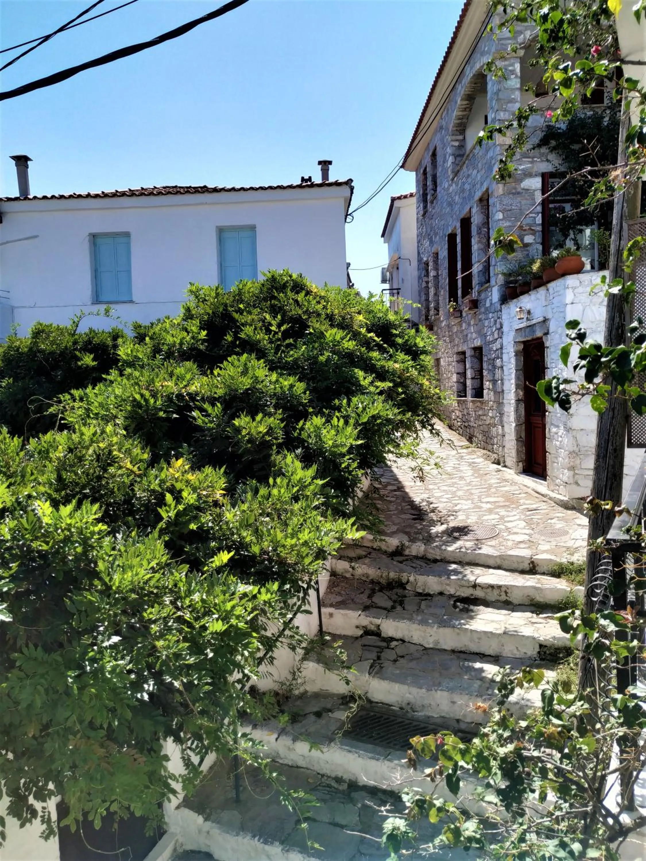 View (from property/room) in Argo Pension