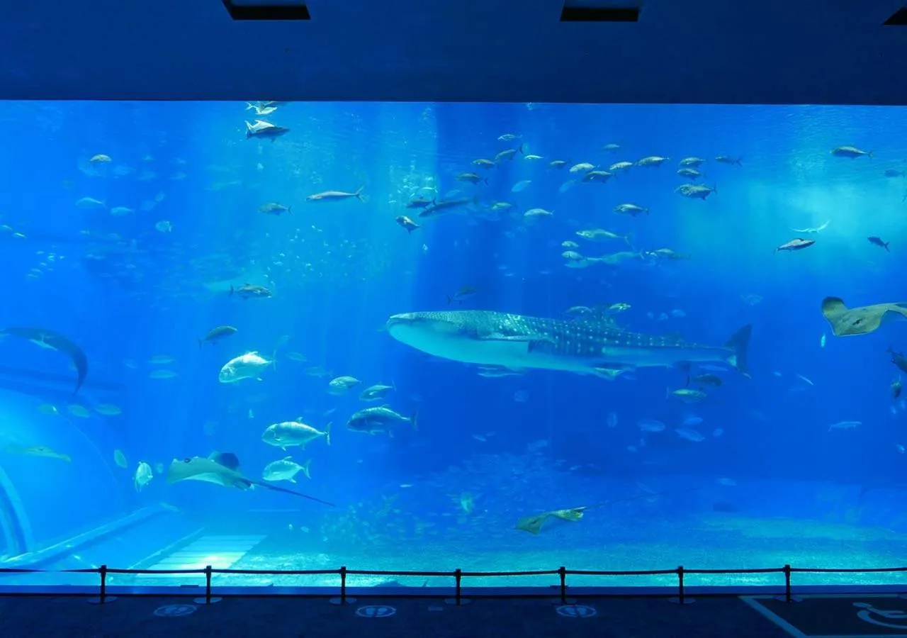 Nearby landmark in Royal View Hotel Churaumi